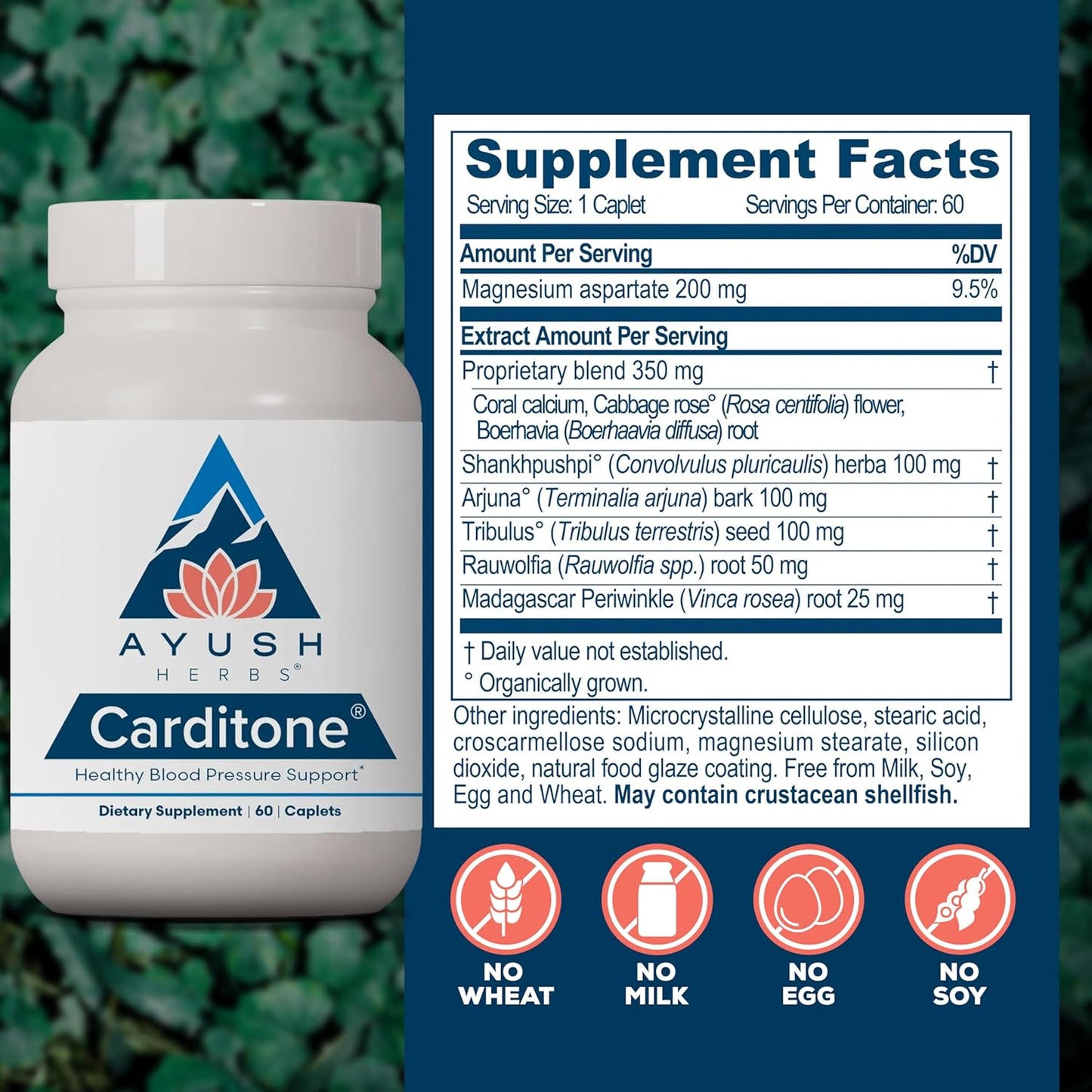Ayush Herbs Carditone - Herbal Heart Health Supplement for Adults, Blood Pressure Support with Rauwolfia, Arjuna, Calcium, Magnesium - 60 Veg Caplets