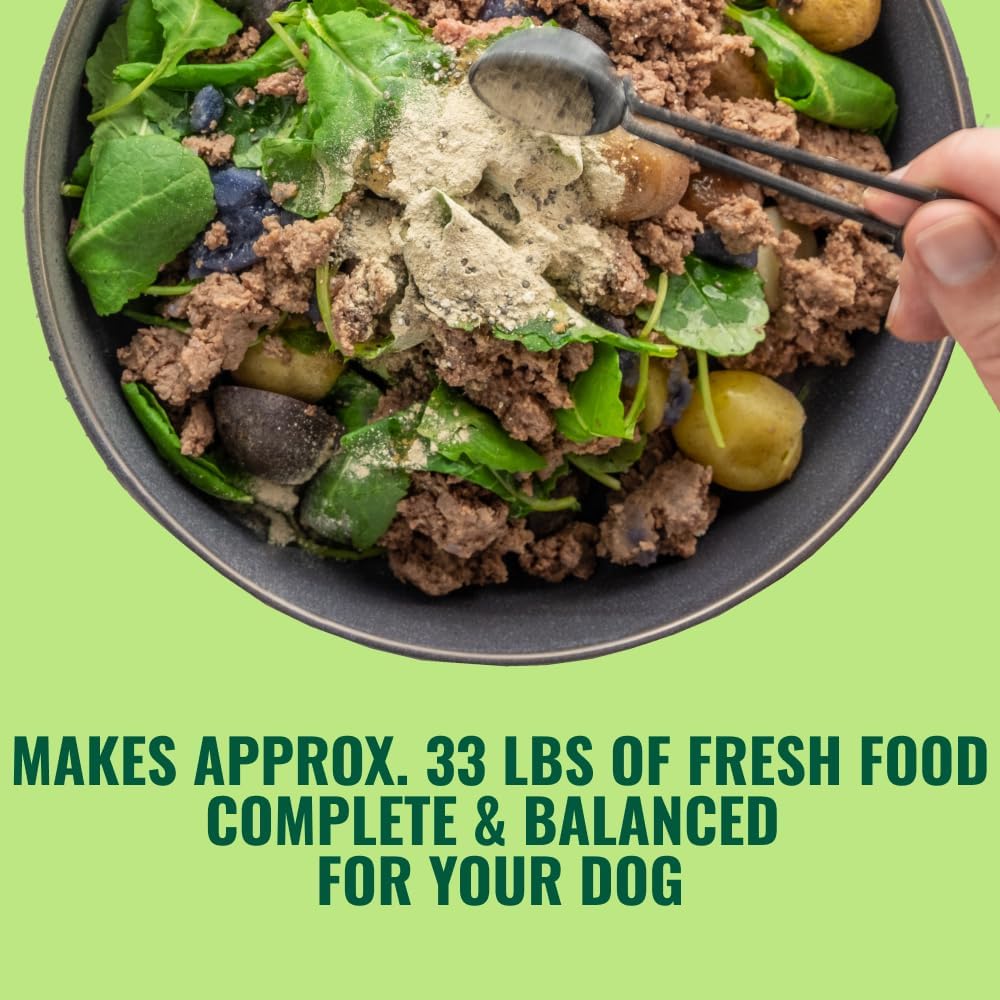Azestfor USA-Made Homemade Dog Food Supplement - Holistic Whole Food Diets - All Breeds - Puppy to Adult - 16oz Powder