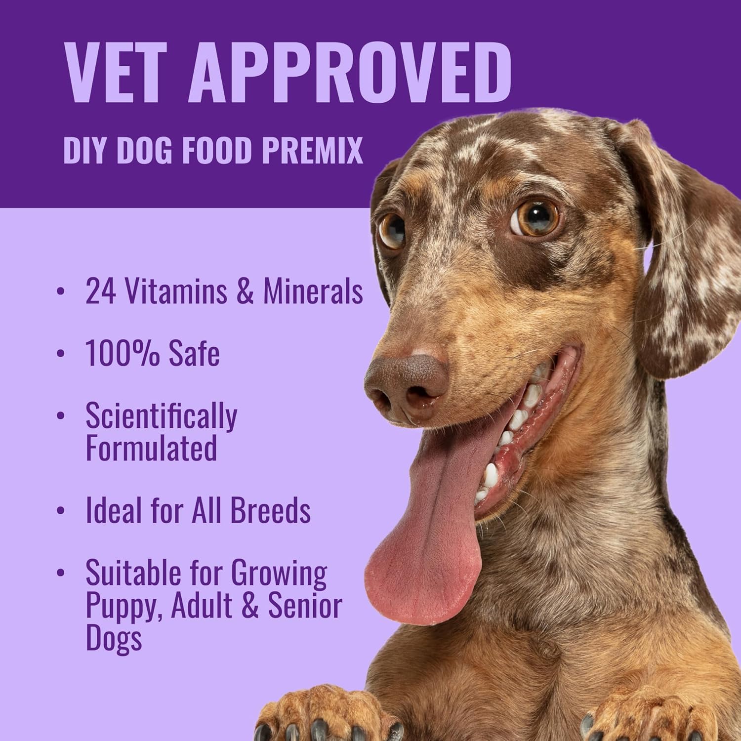 Azestfor USA-Made Homemade Dog Food Supplement - Holistic Whole Food Diets - All Breeds - Puppy to Adult - 16oz Powder