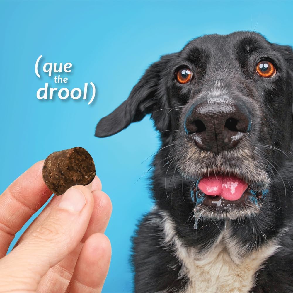 Azoflora Kidney Support Soft Chews for Dogs - Promotes Healthy Renal Function - Supports Urinary Tract Health - Chicken Flavor - 90 Chews