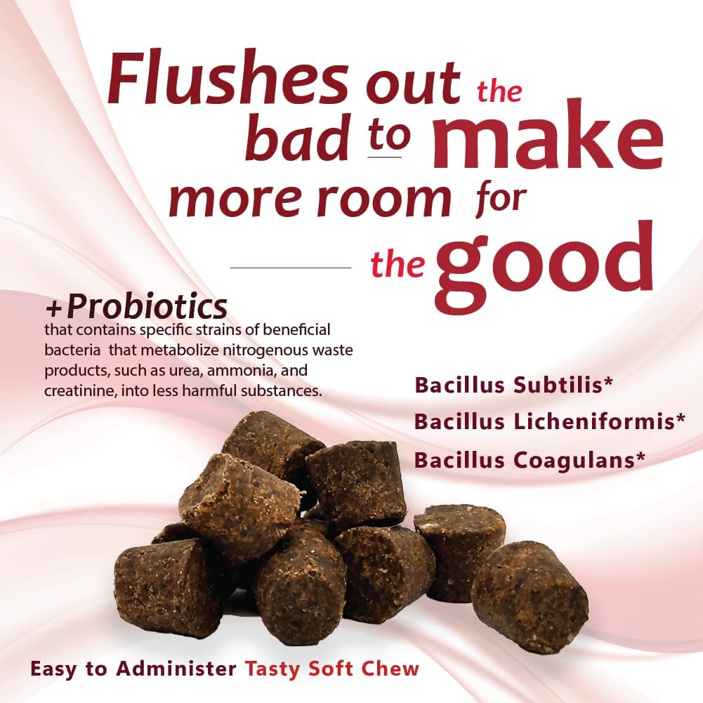 Azoflora Kidney Support Soft Chews for Dogs - Promotes Healthy Renal Function - Supports Urinary Tract Health - Chicken Flavor - 90 Chews