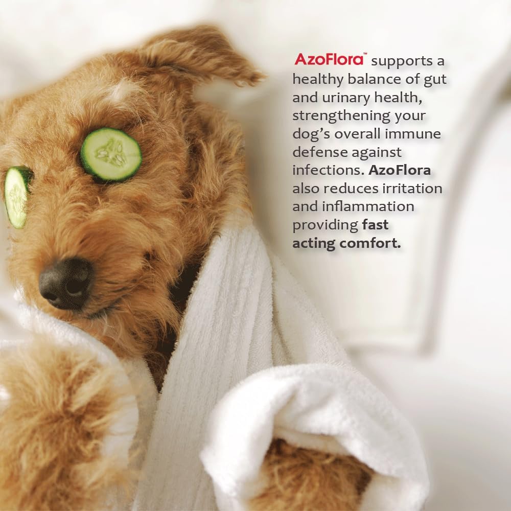 Azoflora Kidney Support Soft Chews for Dogs - Promotes Healthy Renal Function - Supports Urinary Tract Health - Chicken Flavor - 90 Chews