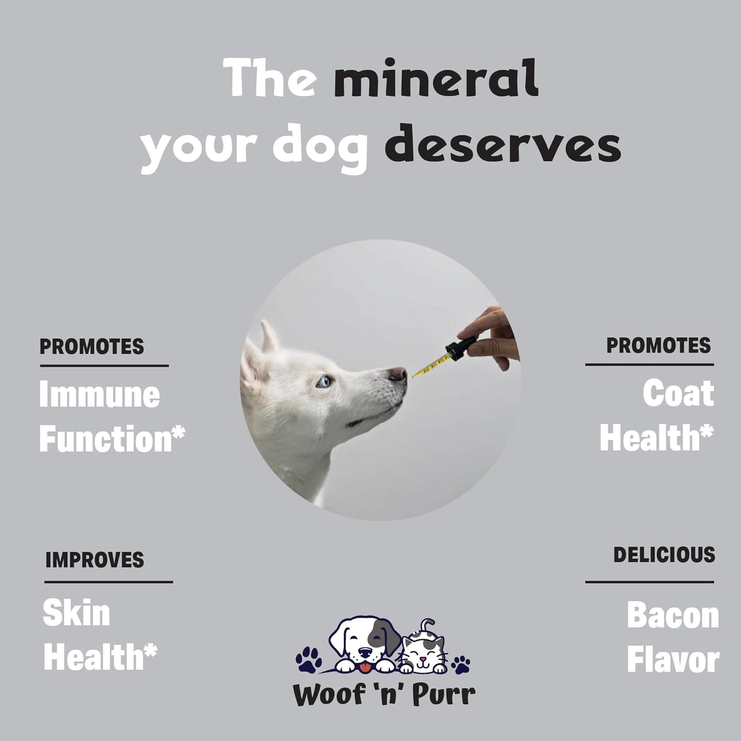 Bacon Flavored Dog Zinc Supplement for Healthy Skin and Coat - 1 fl oz