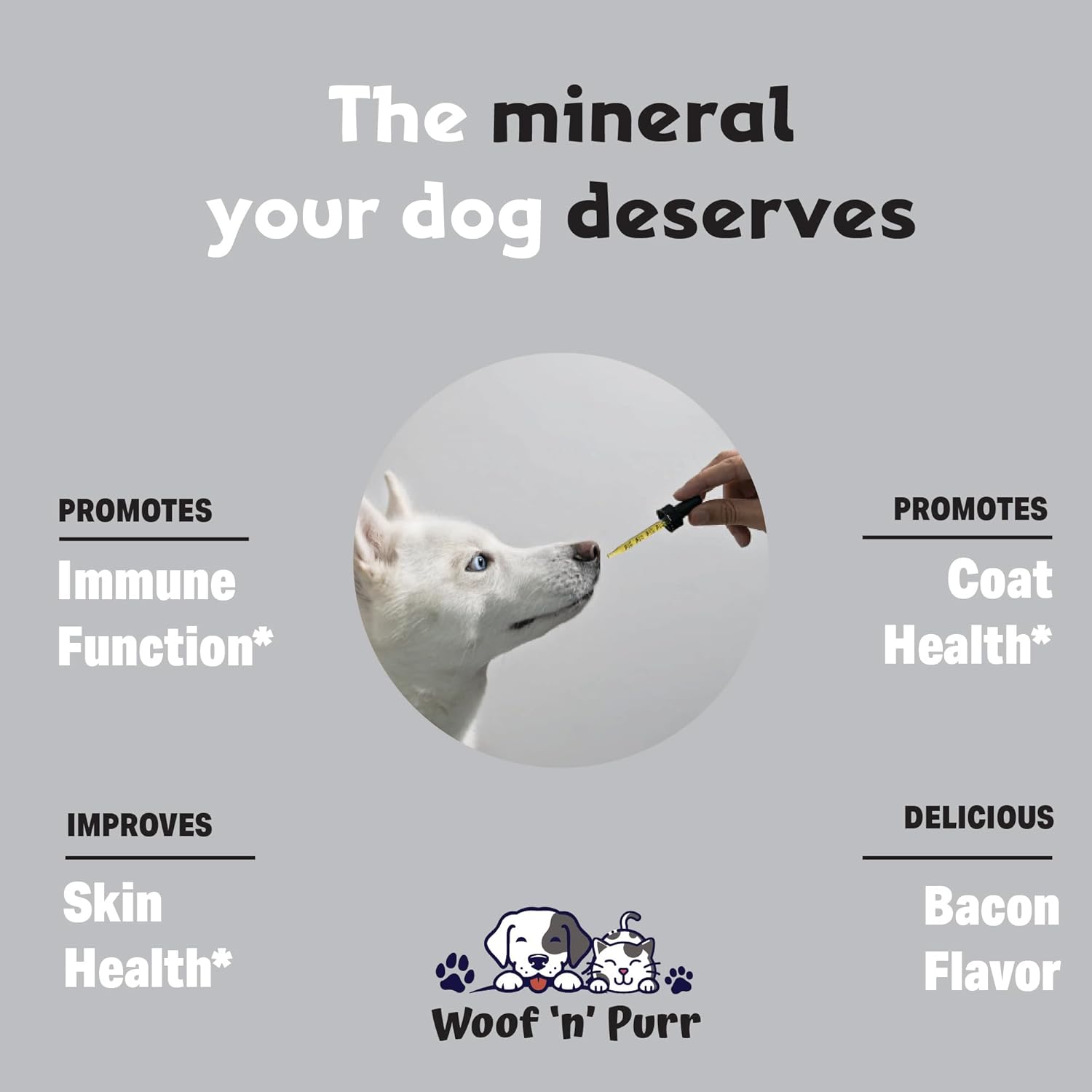 Bacon Flavored Dog Zinc Supplement for Healthy Skin and Coat - 1 fl oz