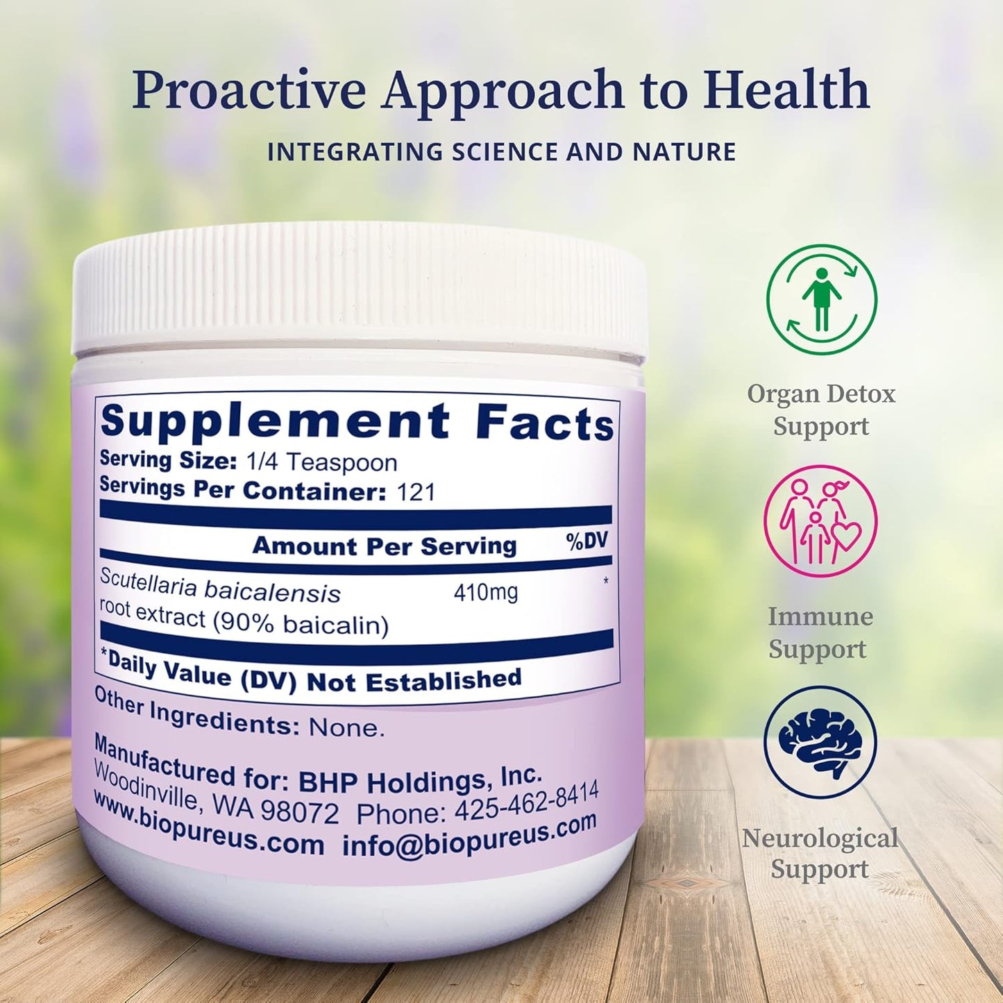 Baikalin Herb Extract Powder for Neurological & Immune Support - Chinese Skullcap Root Extract for Stress Management & Wellness - 50g
