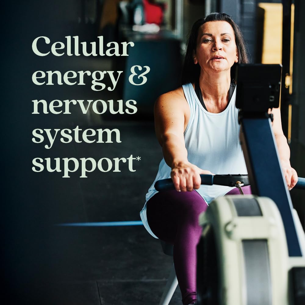 Balanced Energy & Stress Support Multivitamin with B Vitamins, Vitamin D3, Non-GMO Ingredients - 96 ct