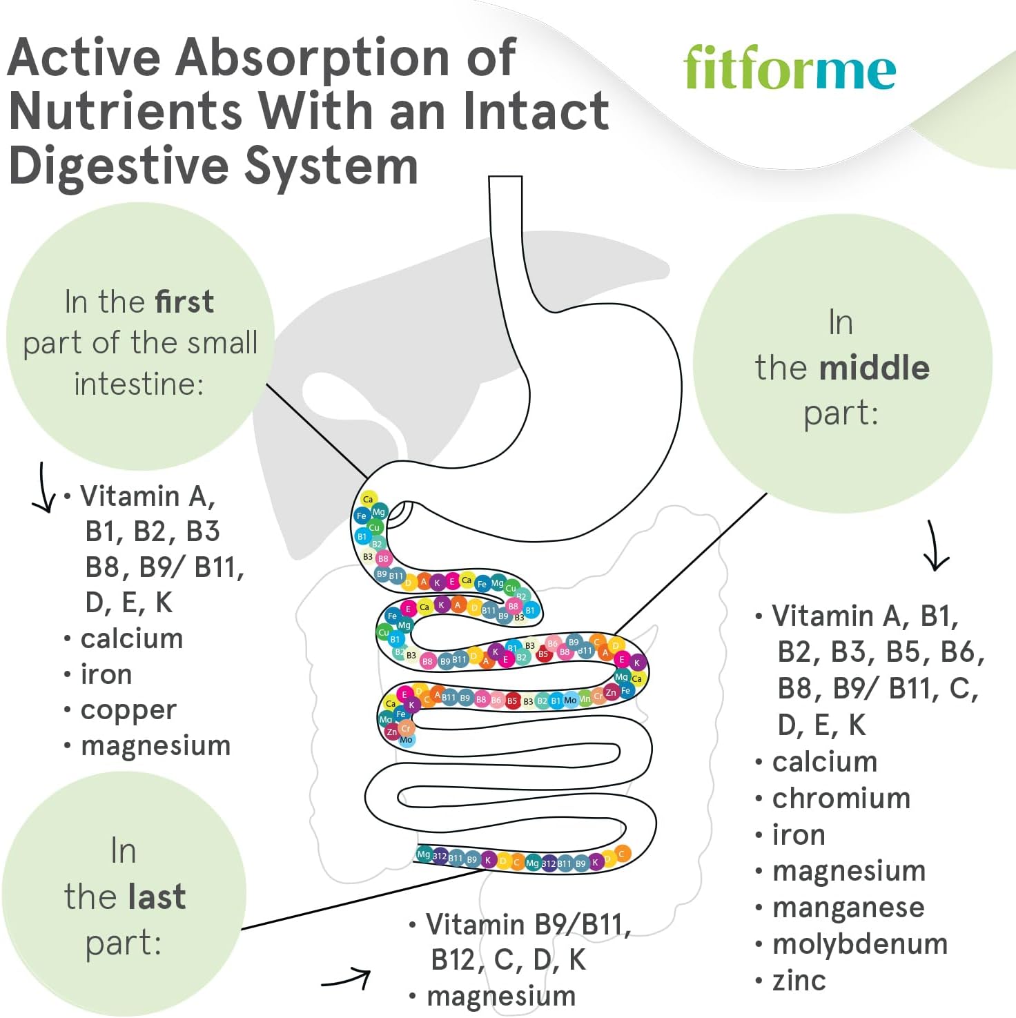 Bariatric Multivitamin with Iron After Gastric Bypass - 90 Day Supply - One Daily WLS Forte Capsule