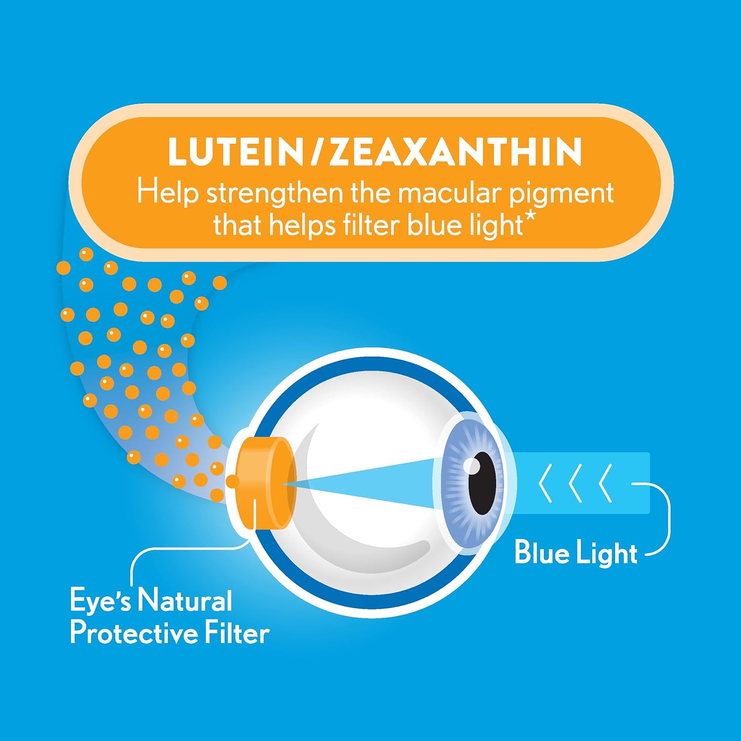 Bausch + Lomb Ocuvite Blue Light Lutein 25mg Softgel Supplement Bundle - 60 Softgels Total