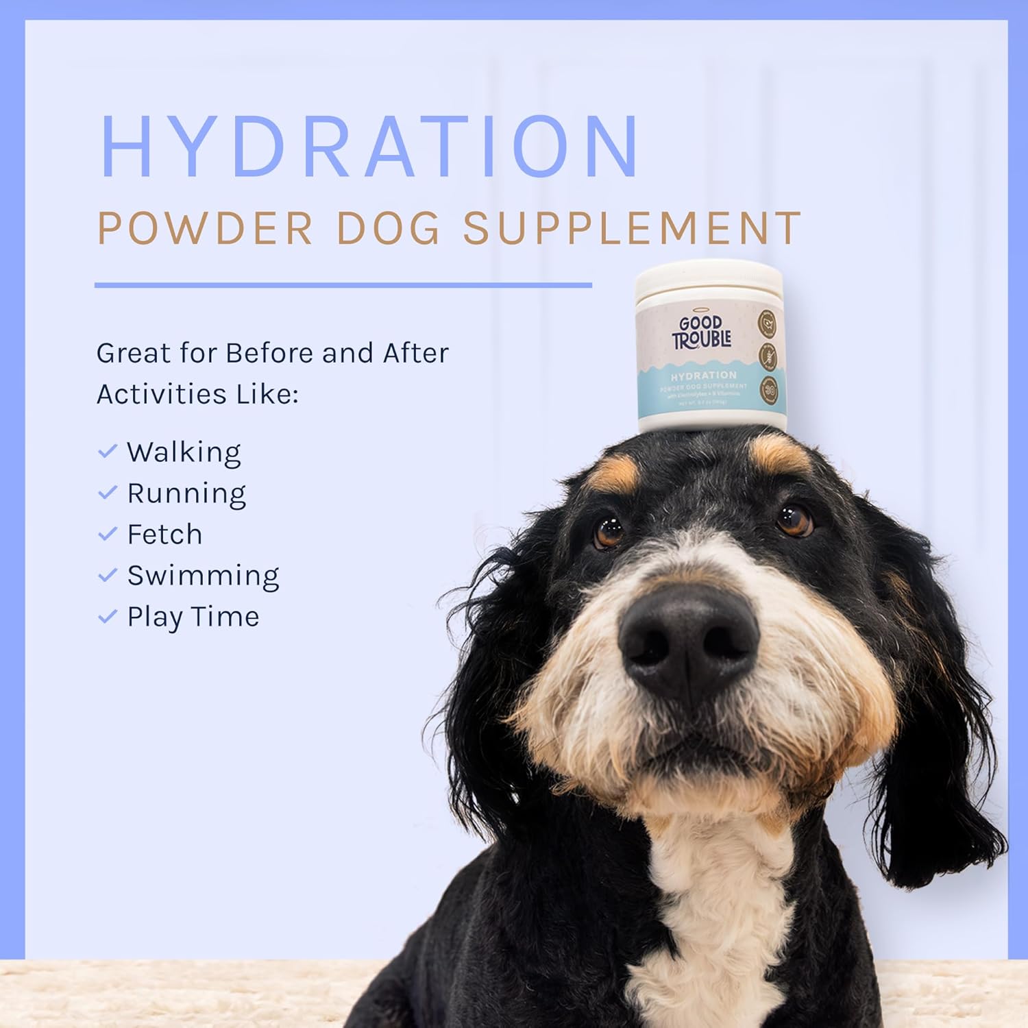 Beef Flavored Dog Hydration Supplement Powder with Electrolytes, Nutrients, and Vitamins for Vitality & Muscle Recovery - Made in USA - 3.7 oz
