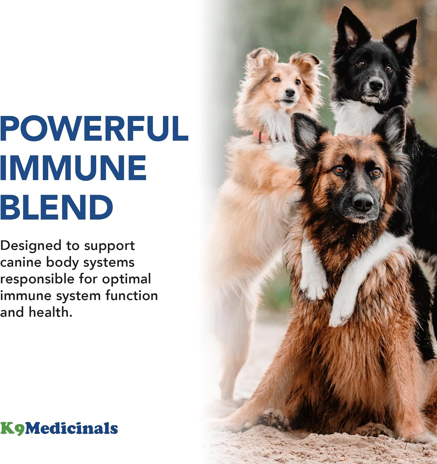 Beef Flavored K9 Medicinals Dog Immune Support Powder with Probiotics, Antioxidants, and Mushroom Blend for Gut and Digestive Health - 4oz