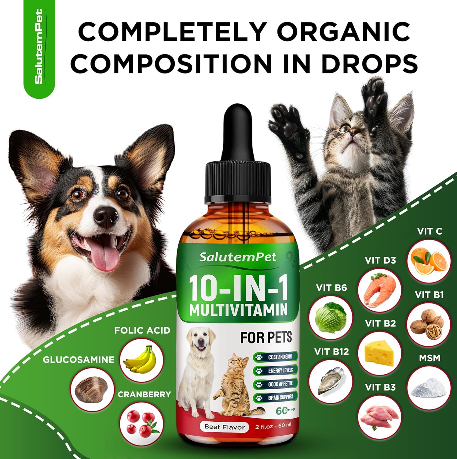 Beef Flavored Liquid Multivitamin for Dogs and Cats - Pet Vitamins and Supplements - 2 fl.oz Bottle