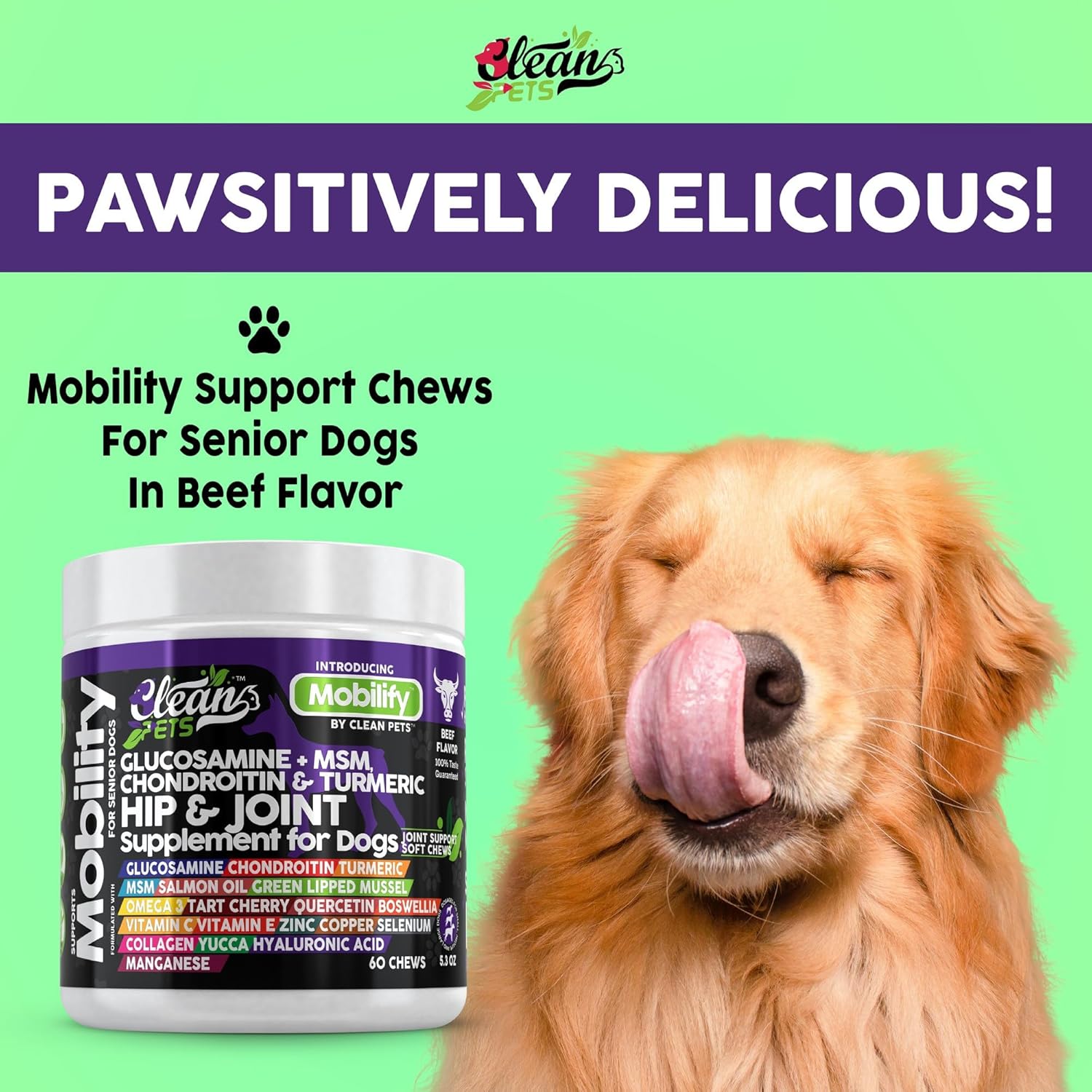 Beef-Flavored Senior Dog Hip and Joint Supplement with Glucosamine, Chondroitin, Turmeric, Hyaluronic Acid, MSM, Salmon Oil, Collagen, Vitamin C, Omega 3 - 1 Pack