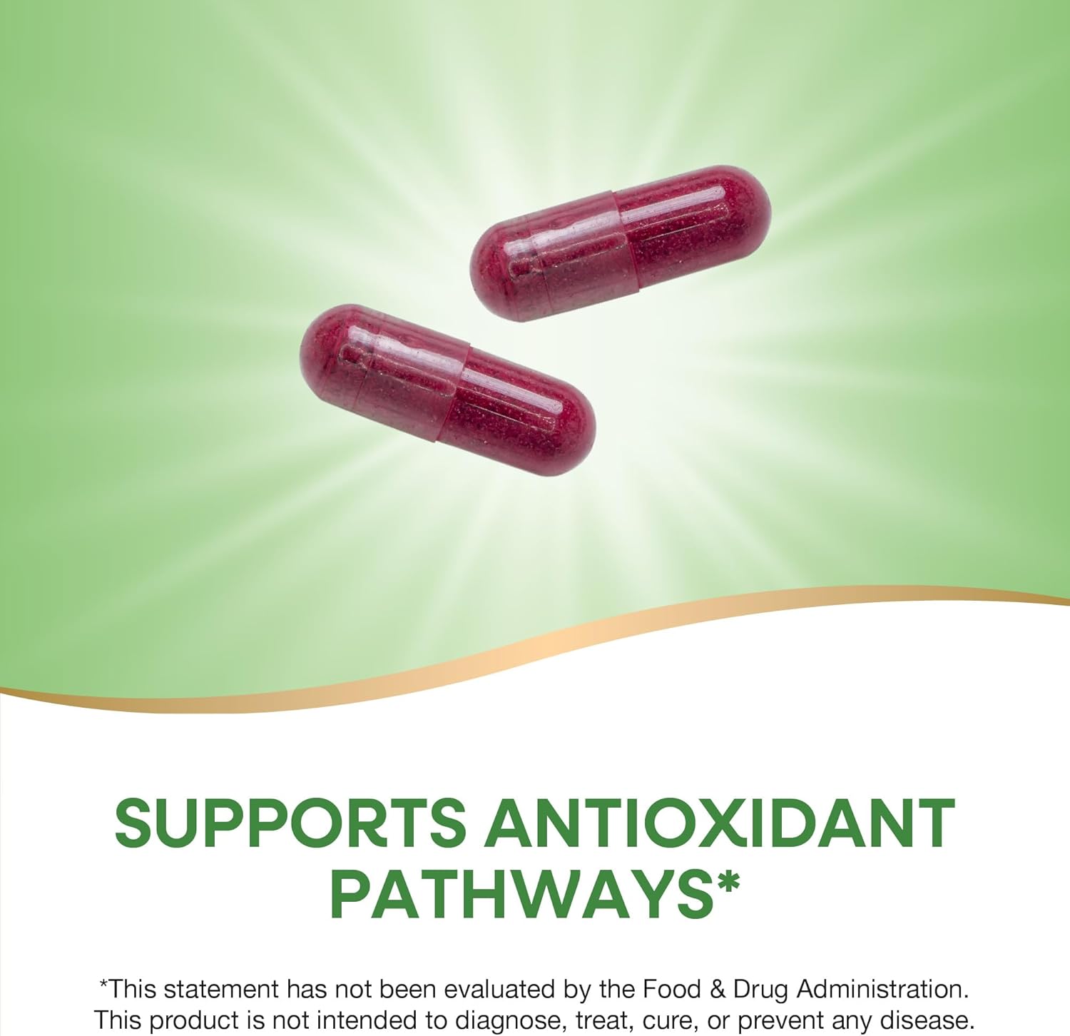 Beet Root Supplement - 1,000mg per Serving, Antioxidant Support, Vegan - 100 Capsules