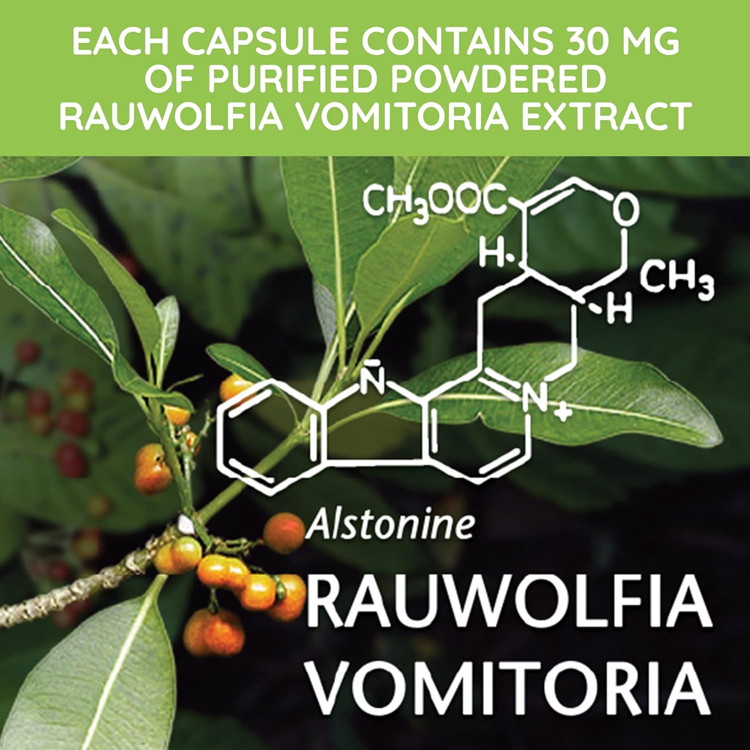 Beljanski® Rovol V® Dietary Supplement with Rauwolfia Vomitoria Extract - 100 Capsules for Immune Support