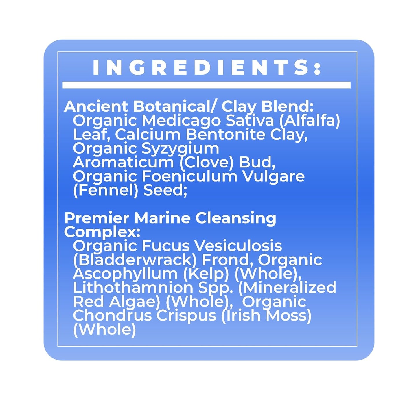 Bentonite Clay Powder Body Pack with Botanicals for Hair & Skin - 12 oz