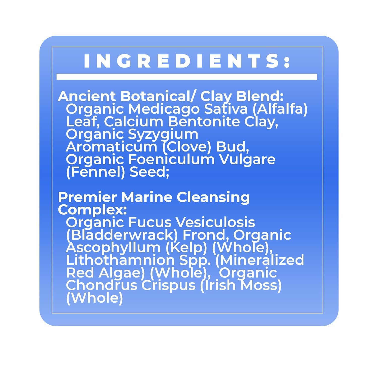 Bentonite Clay Powder Body Pack with Botanicals for Hair & Skin - 12 oz