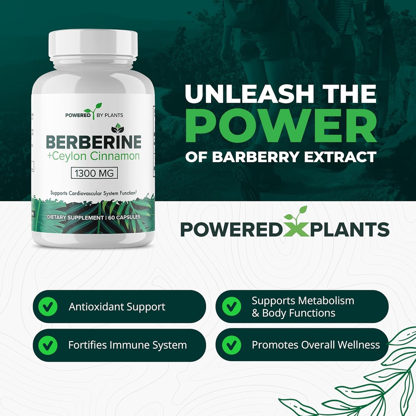 Berberine & Ceylon Cinnamon Supplement for Metabolism & Immune Support - 1300mg, 2 Pack, 120 Servings