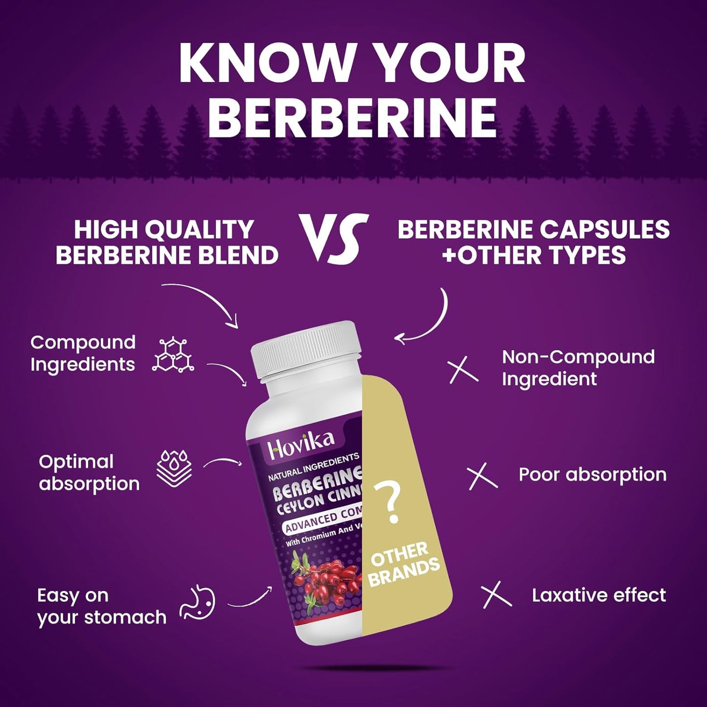 Berberine HCL Capsules 1200mg with Ceylon Cinnamon and Chromium - Metabolism and Immune System Support - 120 Vegan Pills