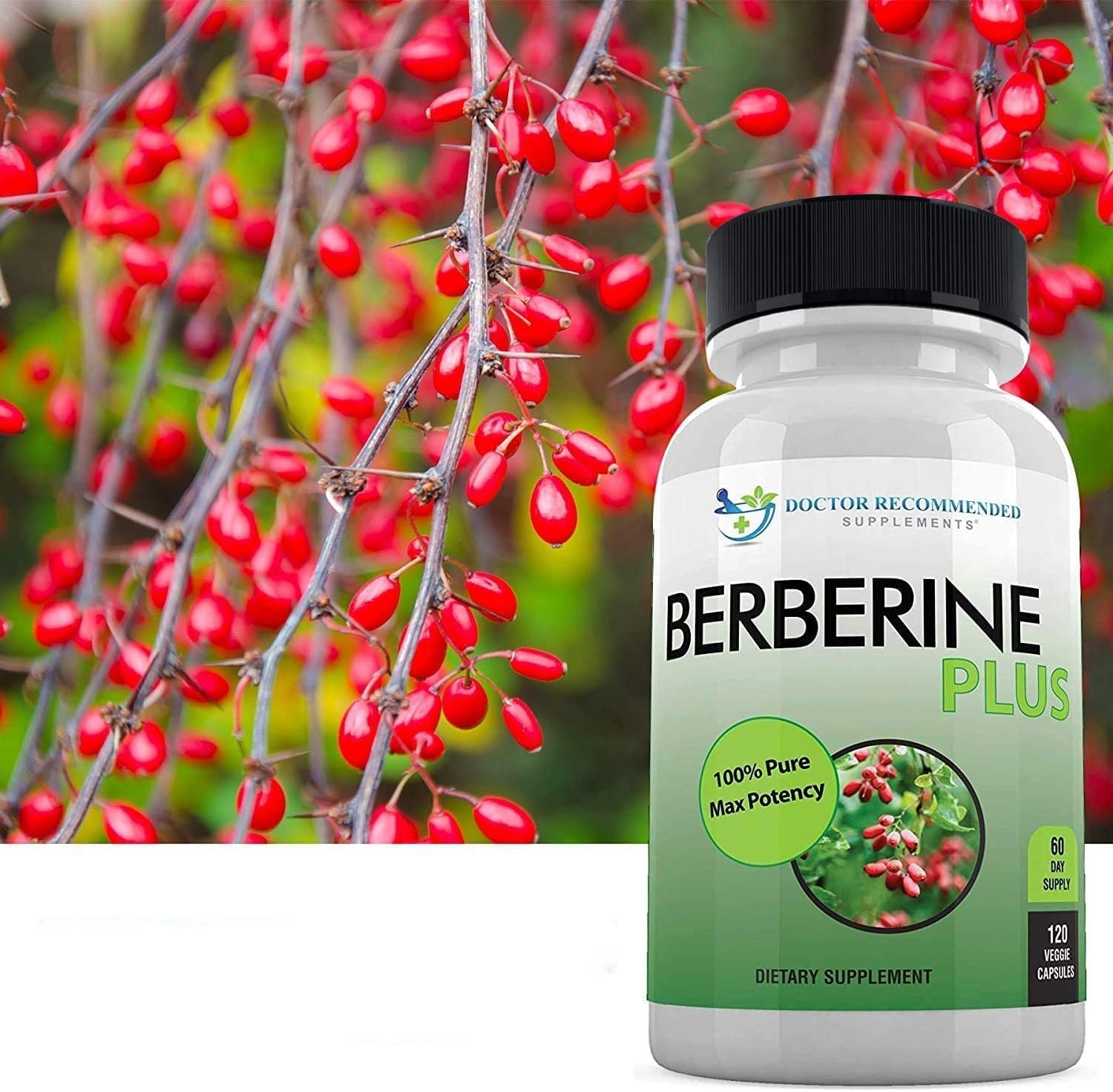Berberine Plus 1200mg Doctor Recommended Supplement - 120 Capsules, Royal Jelly for Immune Support, Heart & Gut Health - Pack of 2