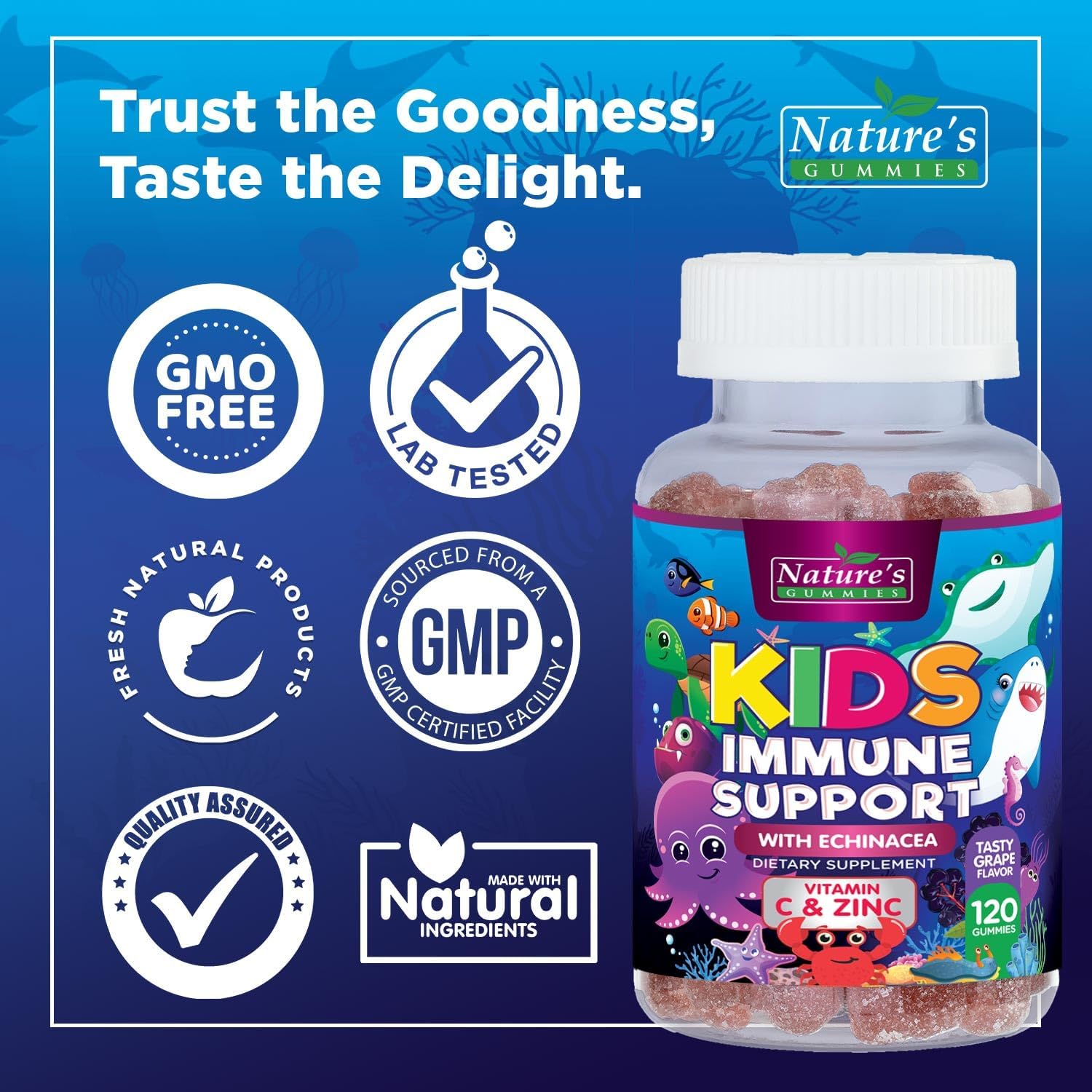 Berry Flavored Kids Immune Support Gummies with Echinacea, Zinc, Vitamin C - Non-GMO, Gluten-Free Vegan Children's Vitamins - 120 Chewable Immunity Gummy Bears