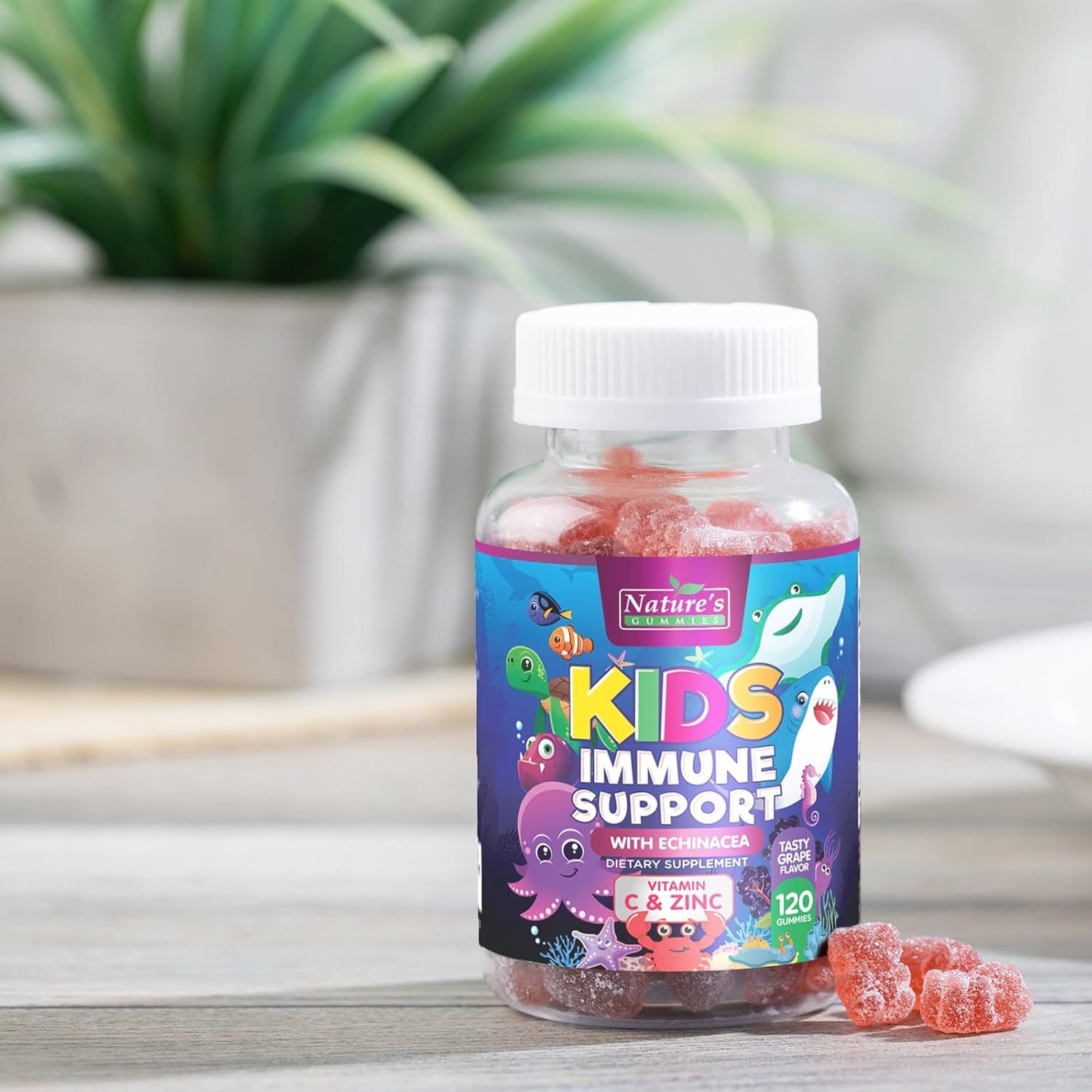Berry Flavored Kids Immune Support Gummies with Echinacea, Zinc, Vitamin C - Non-GMO, Gluten-Free Vegan Children's Vitamins - 120 Chewable Immunity Gummy Bears
