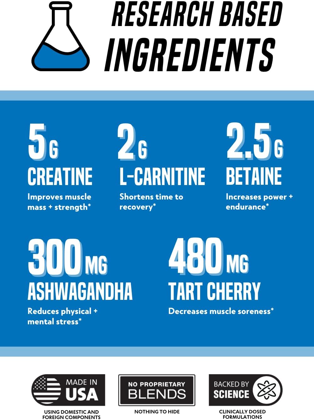 Berry Splash Outwork Nutrition Recovery Supplement Powder - Muscle Builder for Men and Women - Post-Workout Recovery - 240g