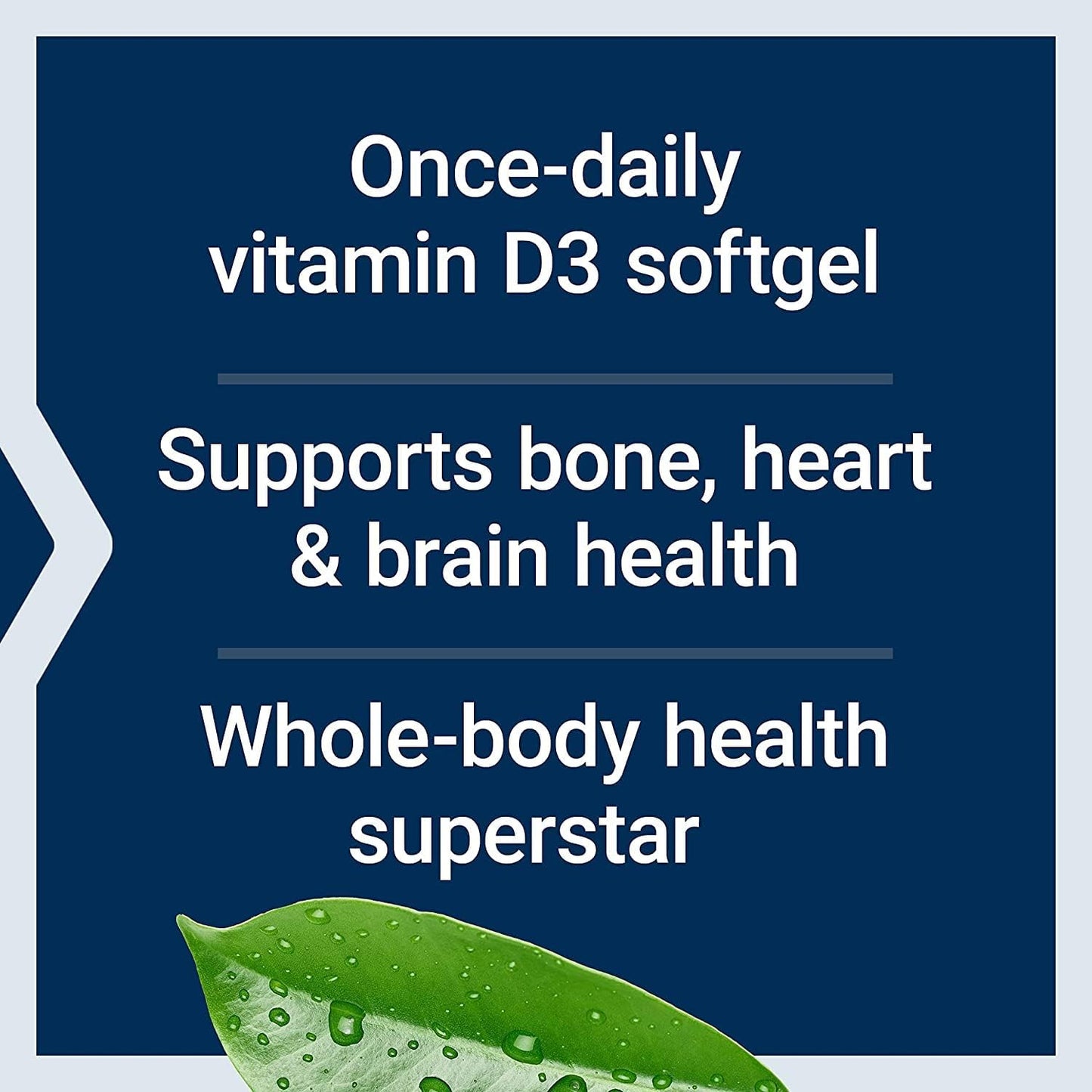 Bio-Quercetin Antioxidant Capsules with Vitamin D3 for Immune and Heart Health - 30 Capsules + 60 Softgels