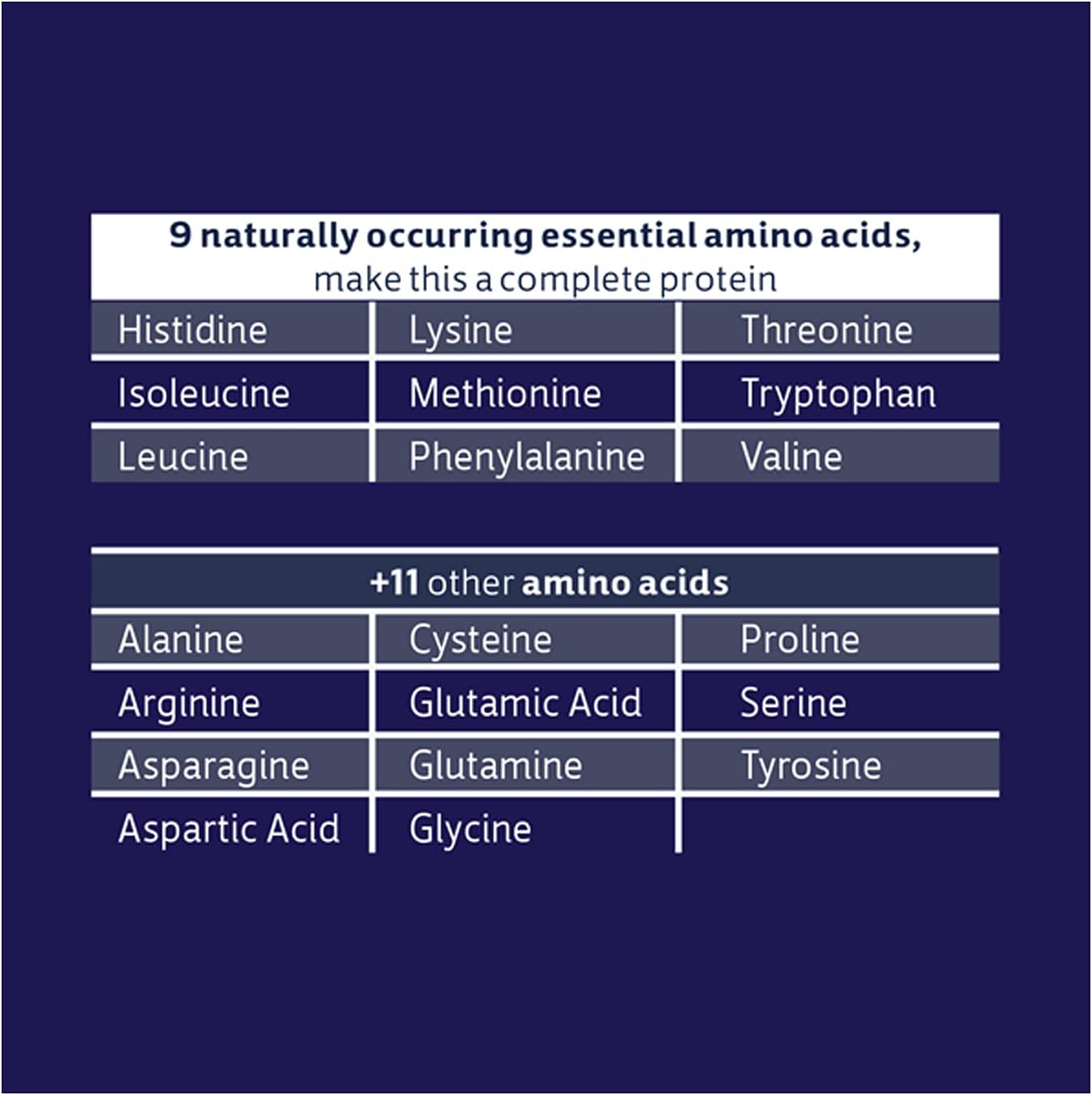 Biochem 100% Whey Isolate Protein - Natural Flavor - 12.3 Ounce - 20g Vegetarian Protein for Preworkout & Immune Health - Easily Digestible & Keto Friendly - Refreshing Taste