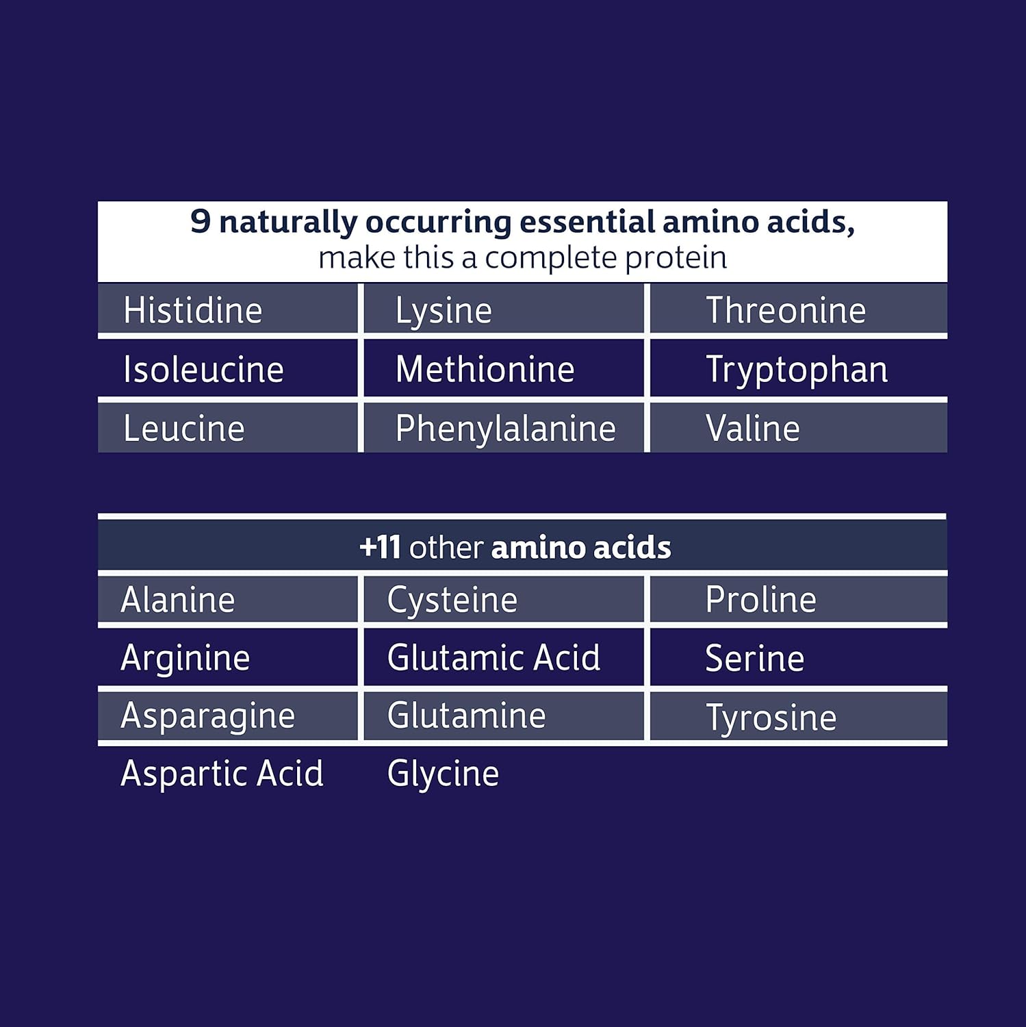 Biochem Chocolate 100% Whey Isolate Protein Powder - 30.9 oz - Ideal for Pre & Post Workout - Keto-Friendly - 20g Protein - Easily Digestible - Refreshing Taste