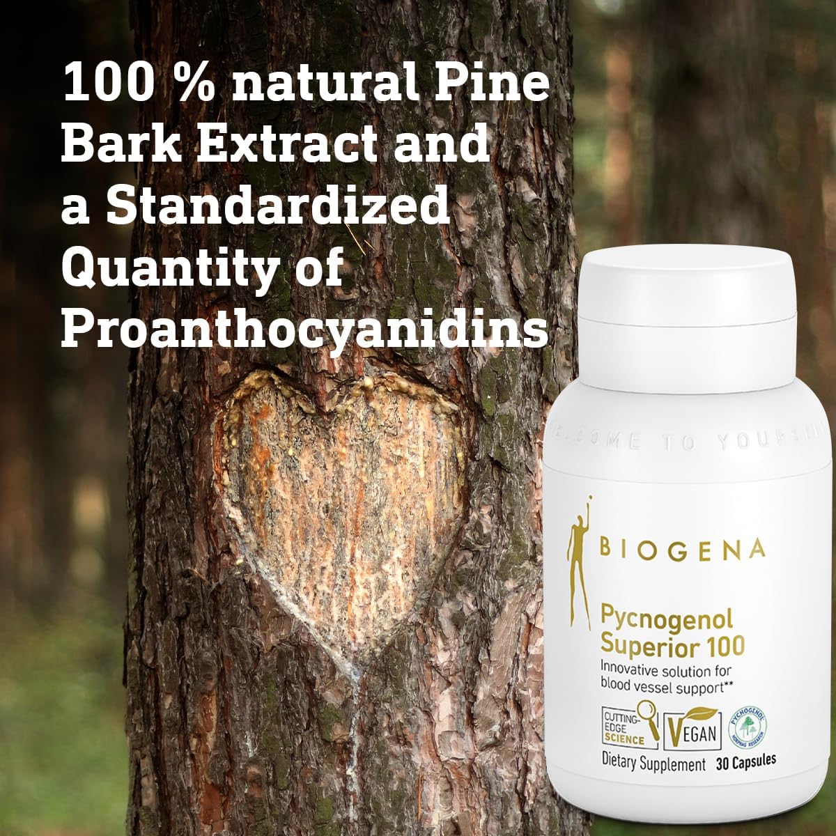 Biogena Pycnogenol 100 mg Gold: Premium French Maritime Pine Bark Extract for Blood Circulation Support