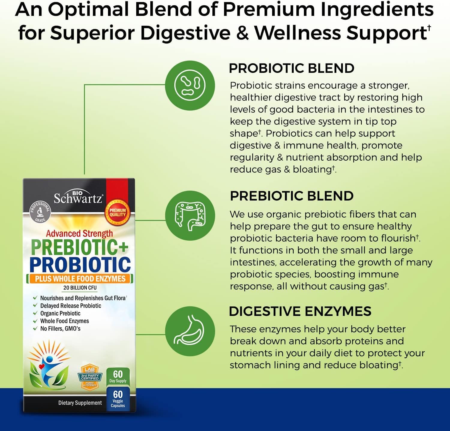 BioSchwartz Advanced Strength Pre and Probiotics Supplement with Digestive Enzymes and Vitamin B Complex + C (4 Month Supply)