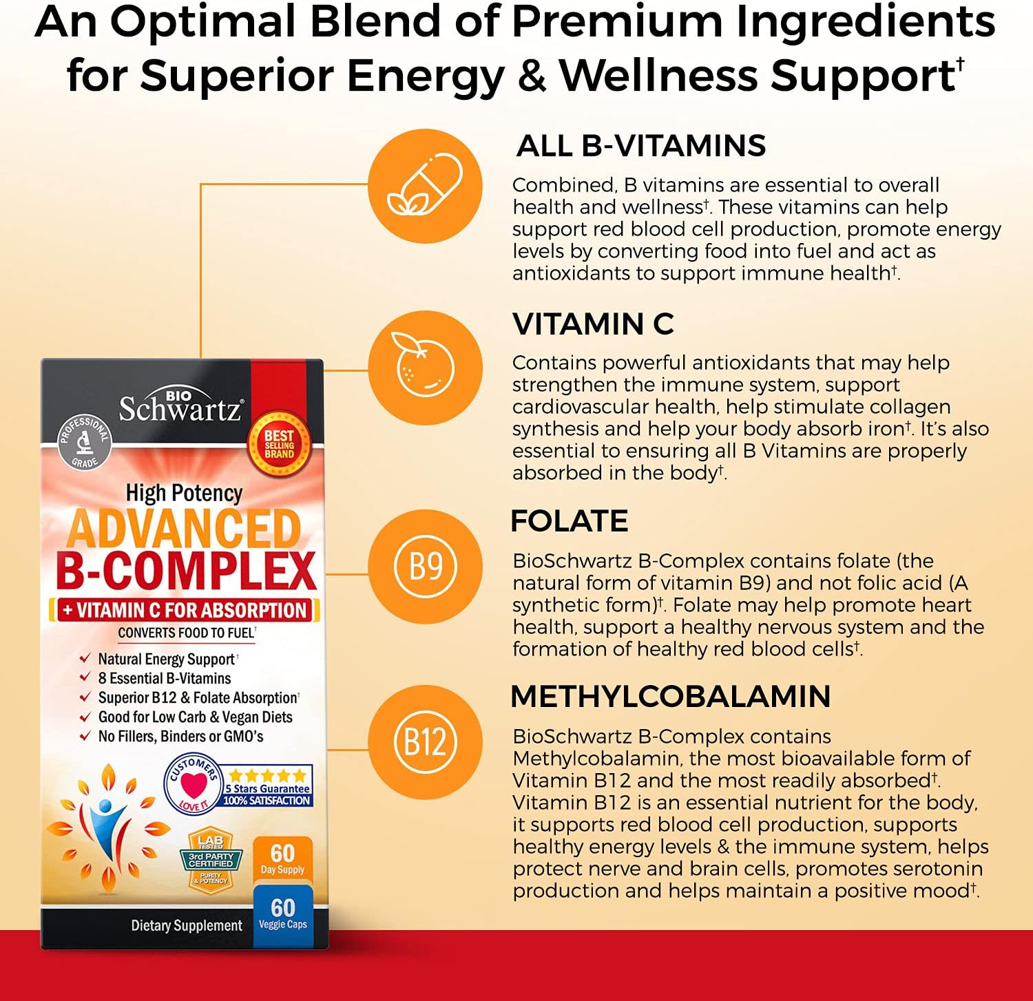 BioSchwartz Magnesium Glycinate 500mg Capsules & Vitamin B Complex with Vitamin C - 2 Month Supply