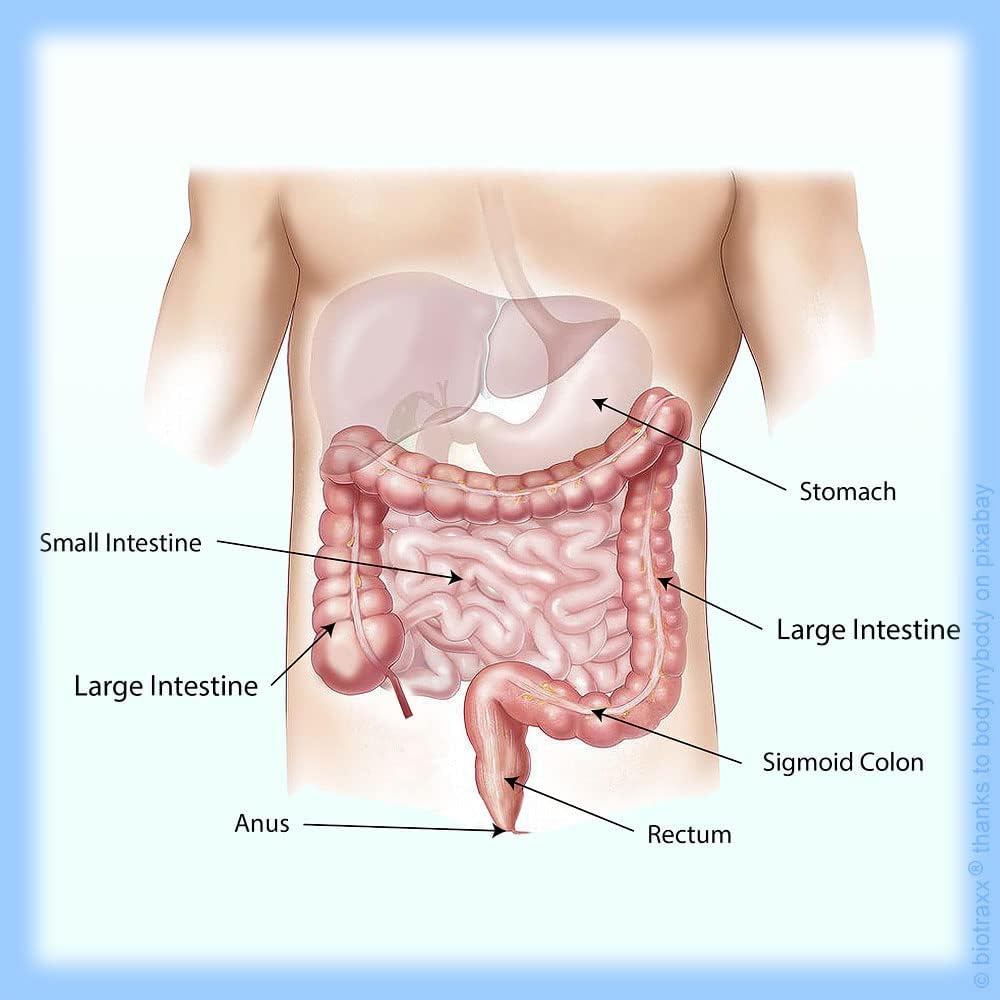 Biotraxx R. Gray Complete Pack - 9 Piece Bundle for Normal Colon Care and Cleansing with Powder Blend