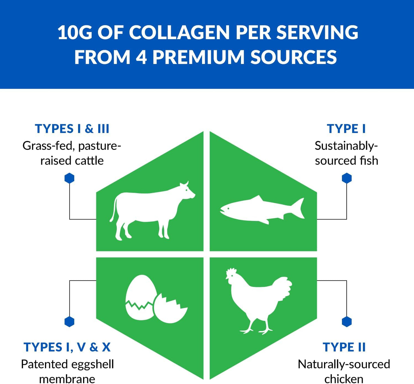 BioTrust Ageless Multi Collagen Peptides Powder - 5 Types (I, II, III, V, X) - Fruit Punch Collagen Powder for Men and Women - Hydrolyzed Protein from Grass-Fed Sources
