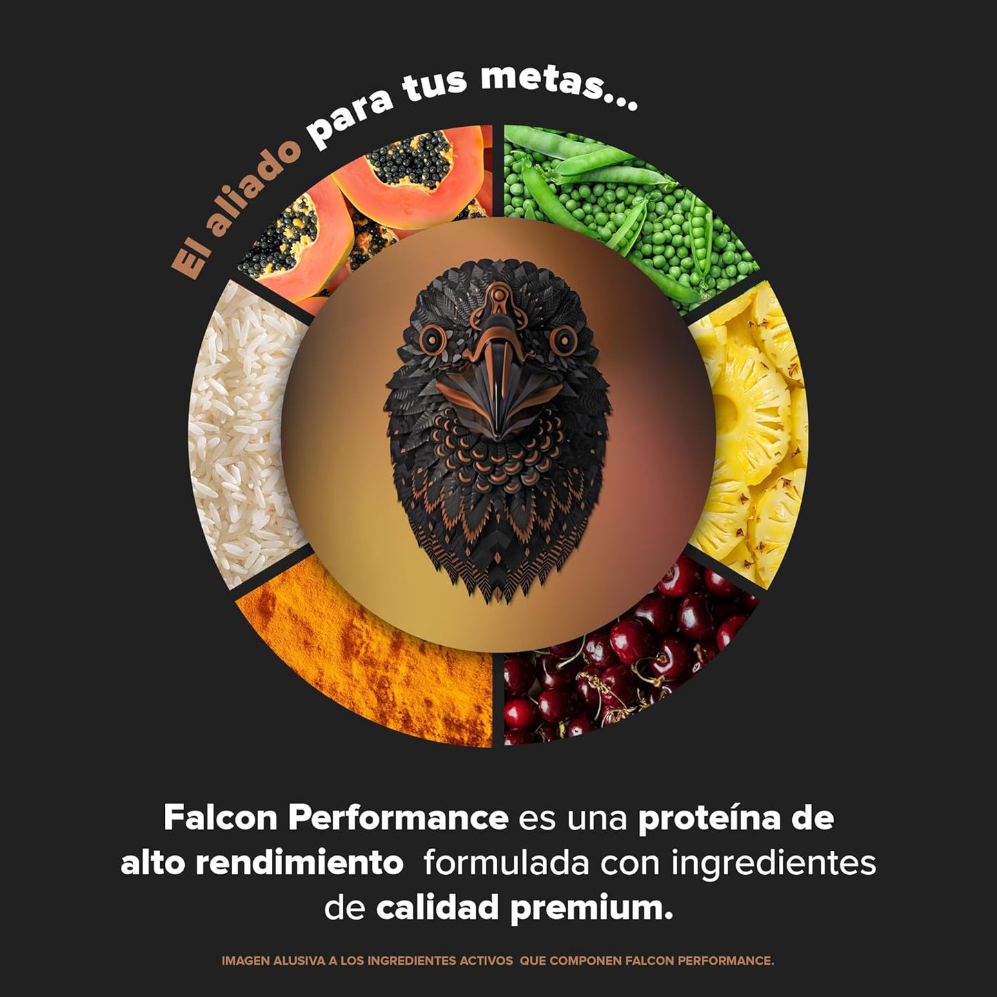 BIRDMAN Falcon Performance Premium Sport Protein Powder with Creatine - Chocolate Flavor, 31g Protein and 5g Creatine per Serving, 1.9Kg Size