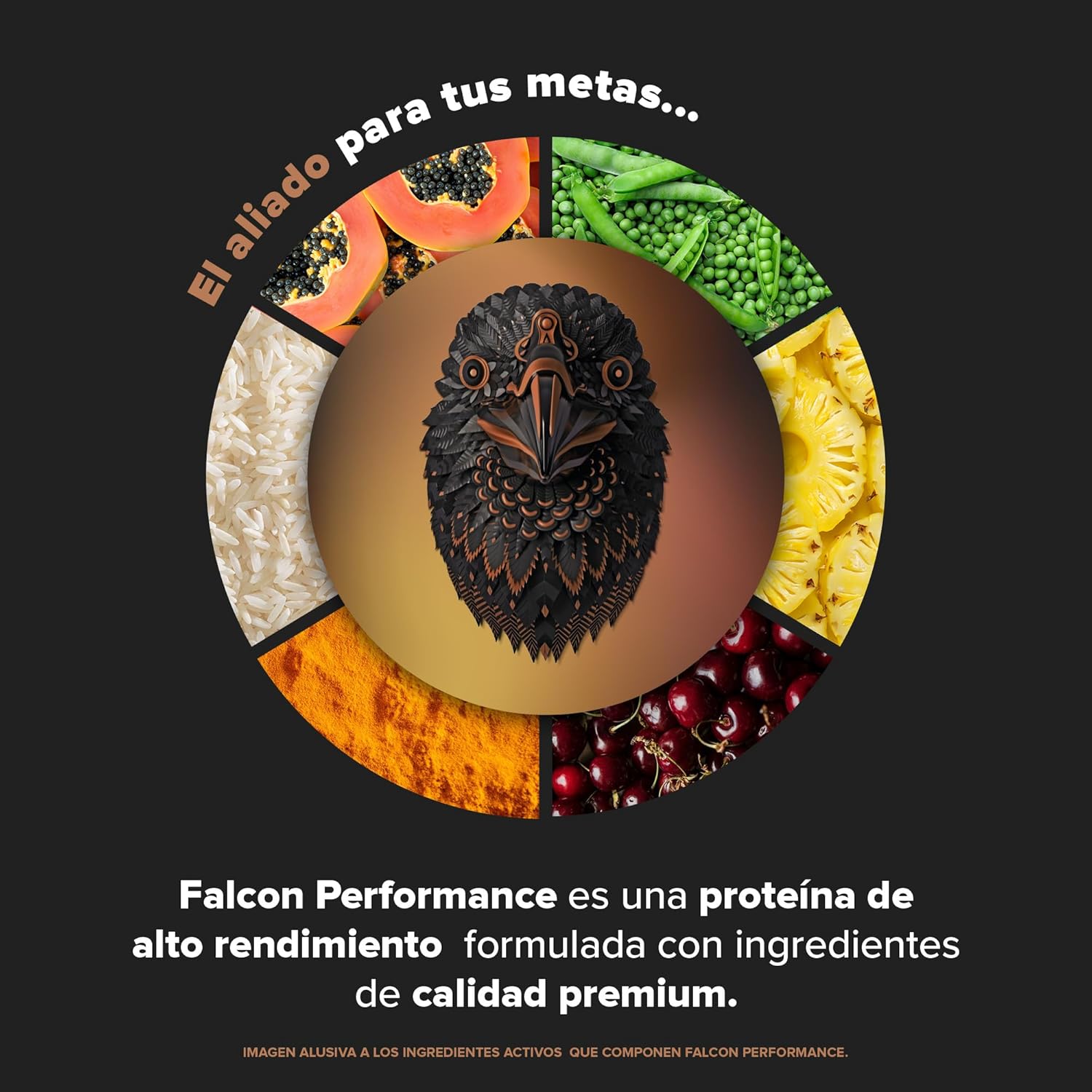 BIRDMAN Falcon Performance Premium Sport Protein Powder with Creatine - Chocolate Flavor, 31g Protein and 5g Creatine per Serving, 1.9Kg Size