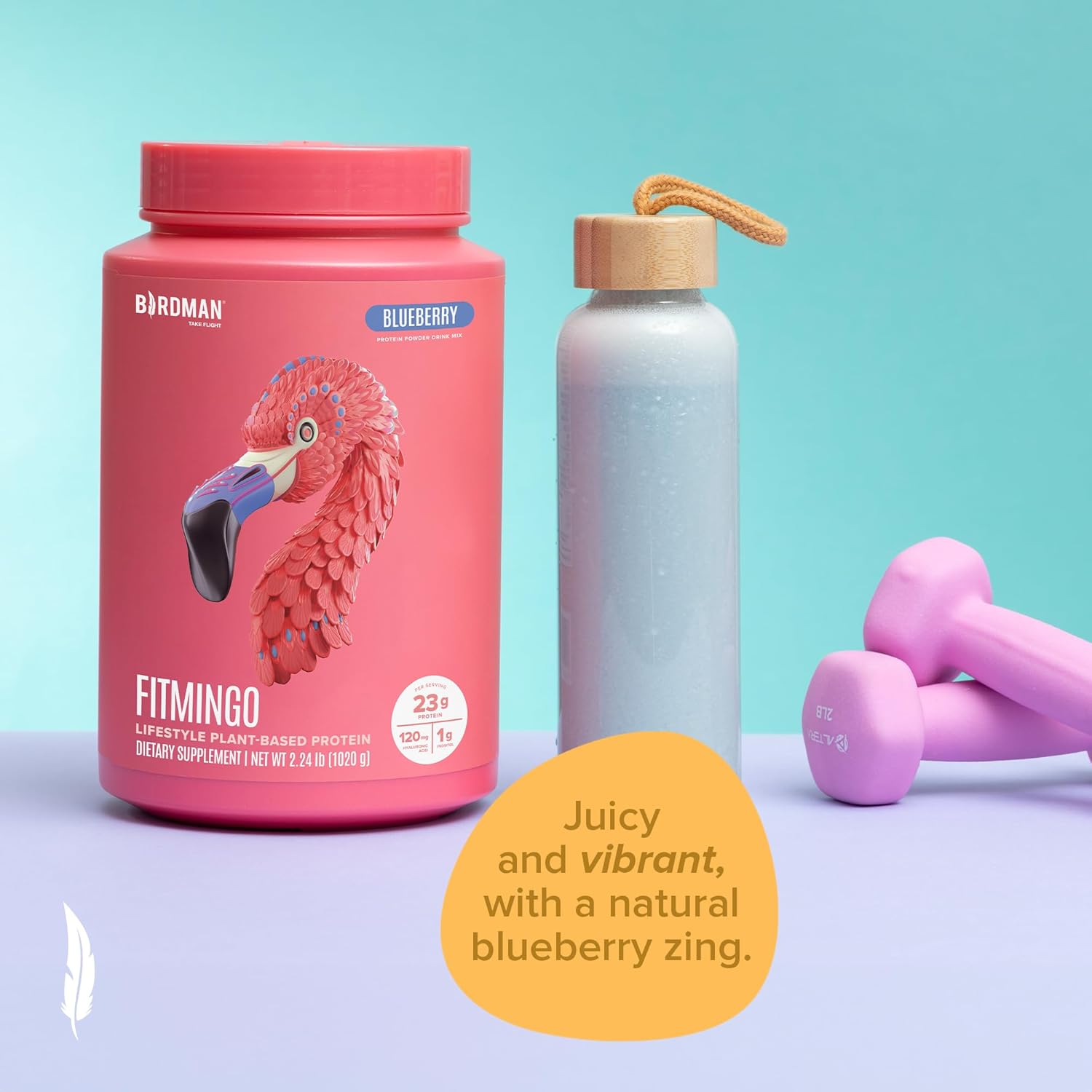 Birdman Fitmingo Blueberry Vegan Protein Powder for Women with Inositol, Collagen Boosters, Hyaluronic Acid & Vitamins | Low Carb, Dairy Free, Lactose Free, Low Calorie, 22g Plant Based