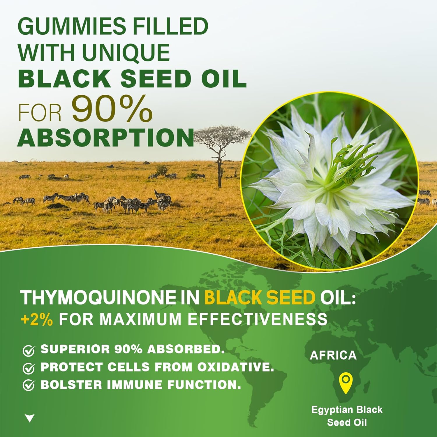 Black Seed Oil Gummies with Chlorophyll, Sea Moss, and Ashwagandha - 2000mg Sugar-Free Supplement with Magnesium Glycinate