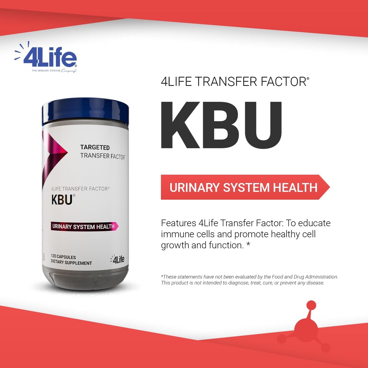 Bladder & Kidney Health Supplement with Transfer Factor, Cranberry, Blueberry, Dandelion & Juniper - 120 Capsules