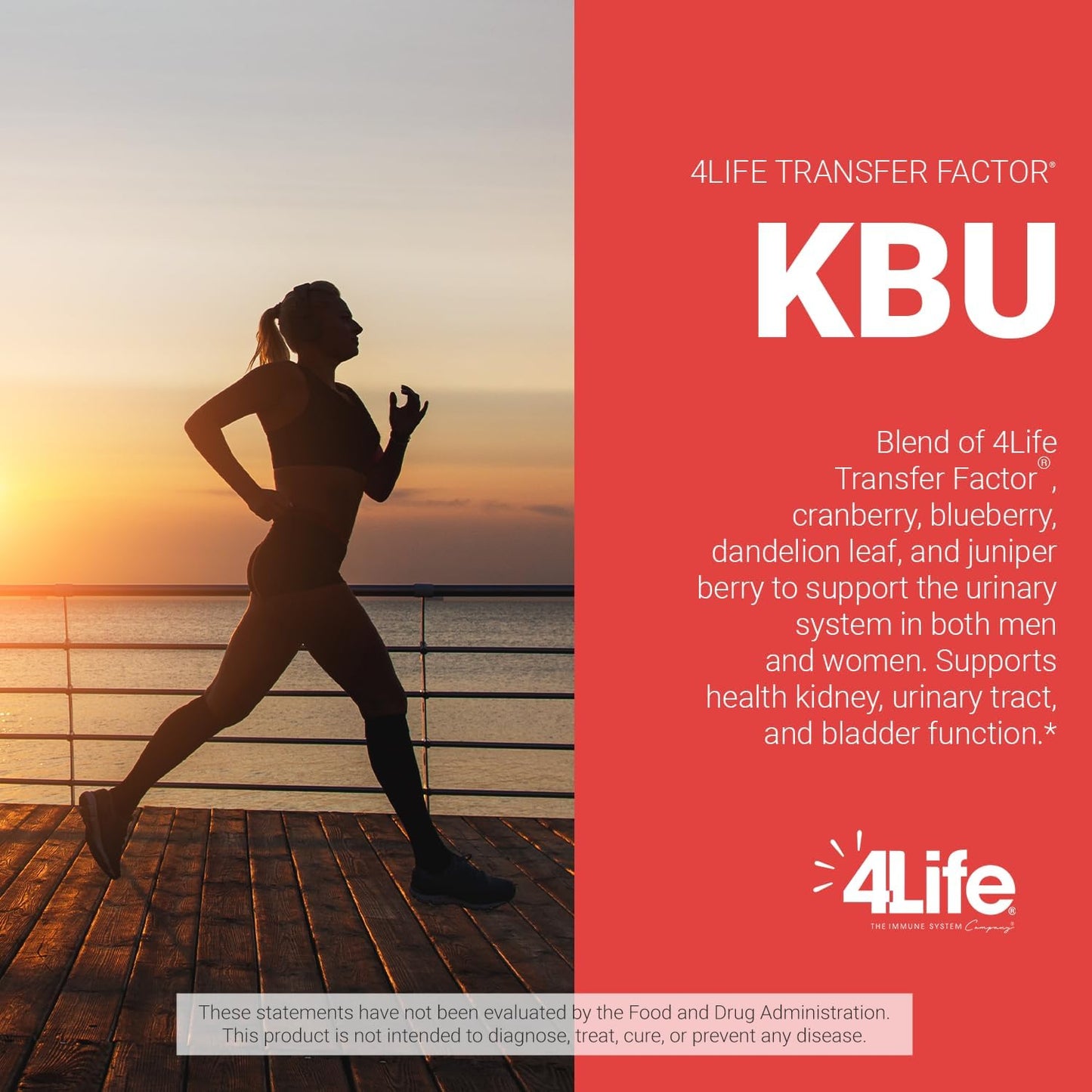 Bladder & Kidney Health Supplement with Transfer Factor, Cranberry, Blueberry, Dandelion & Juniper - 120 Capsules