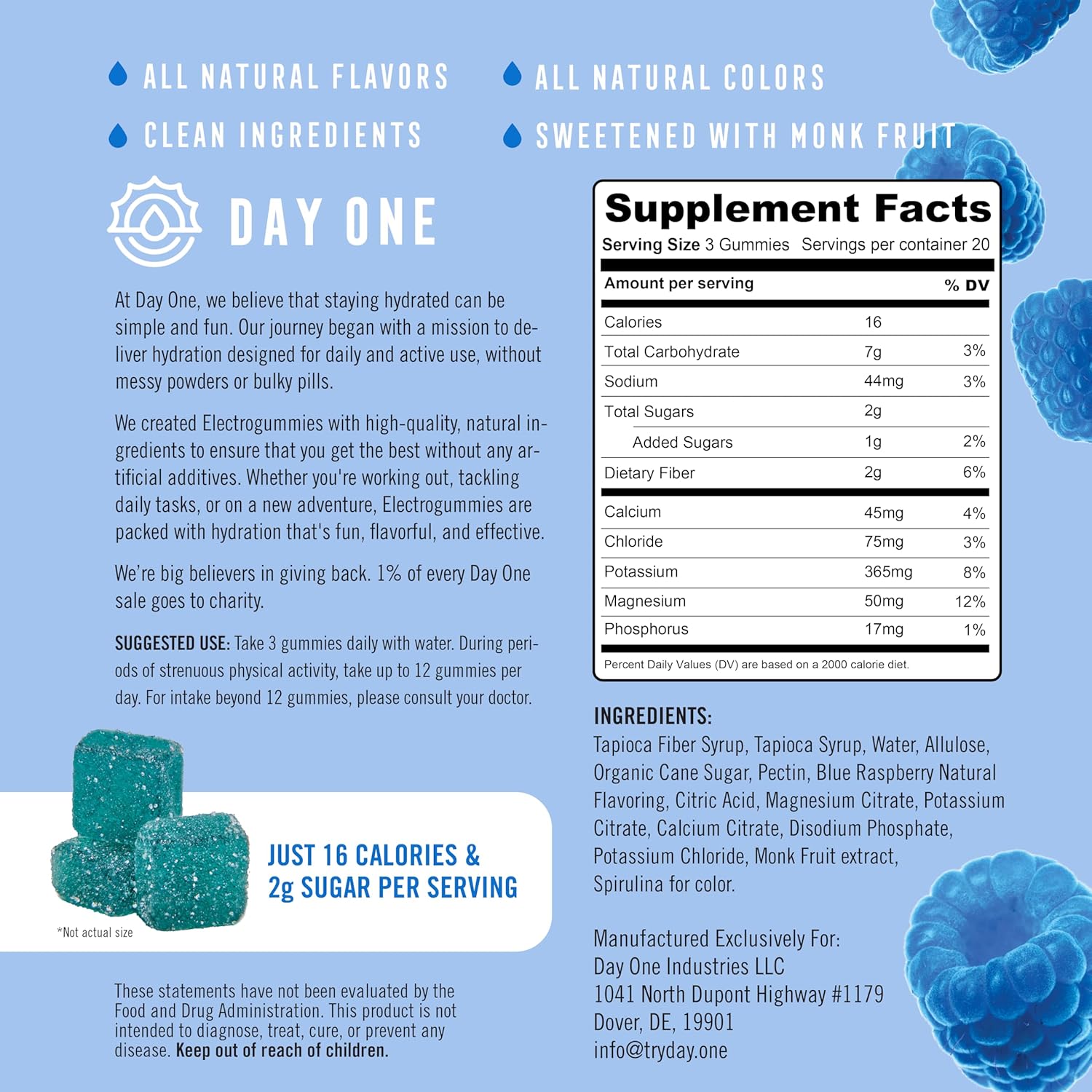 Blue Raspberry Electrolyte Gummies for Runners & Athletes - Hydration Alternative to Powders & Tablets - 60 Gummies