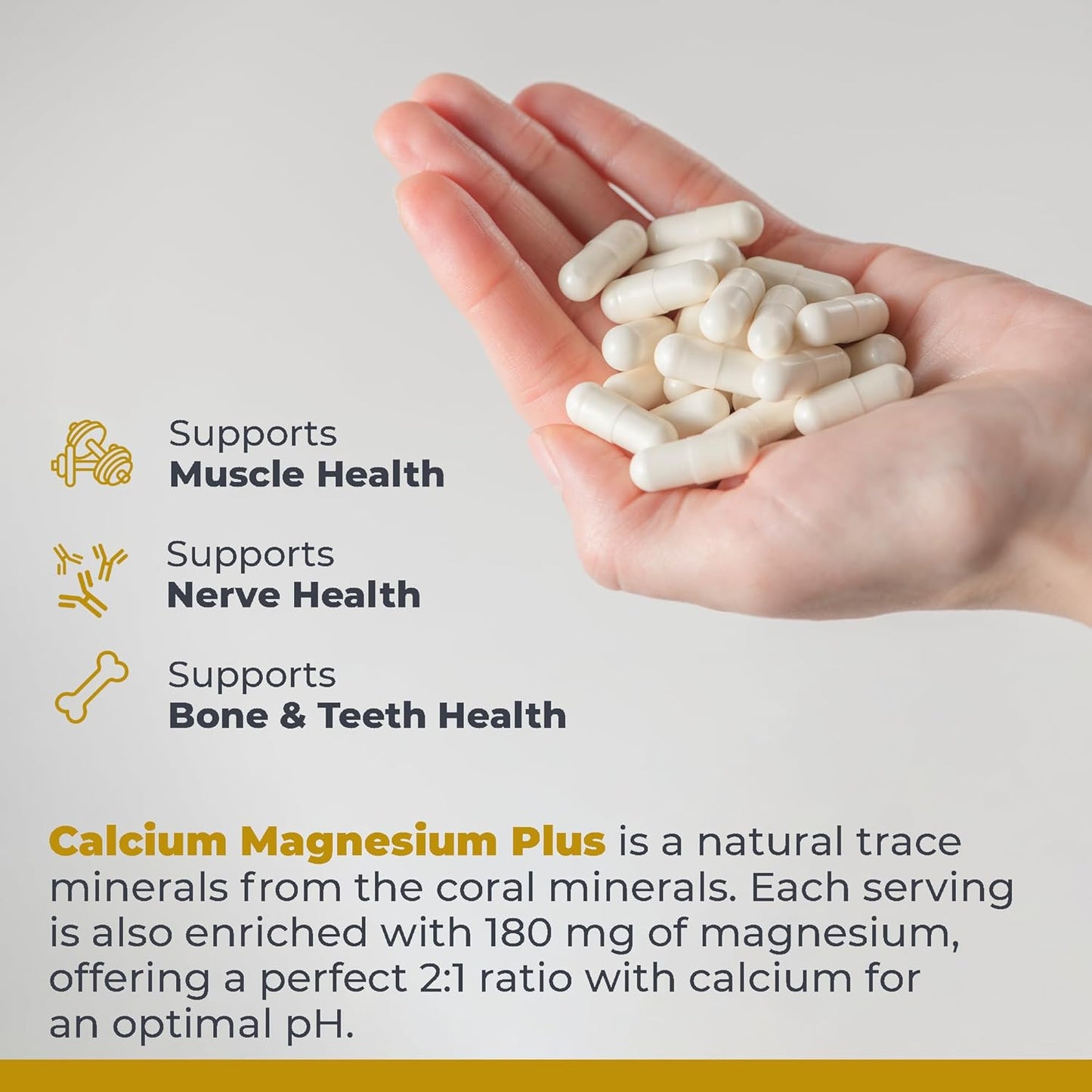 Bone Health Calcium Magnesium Supplement with Mushroom Complex - 90 Capsules