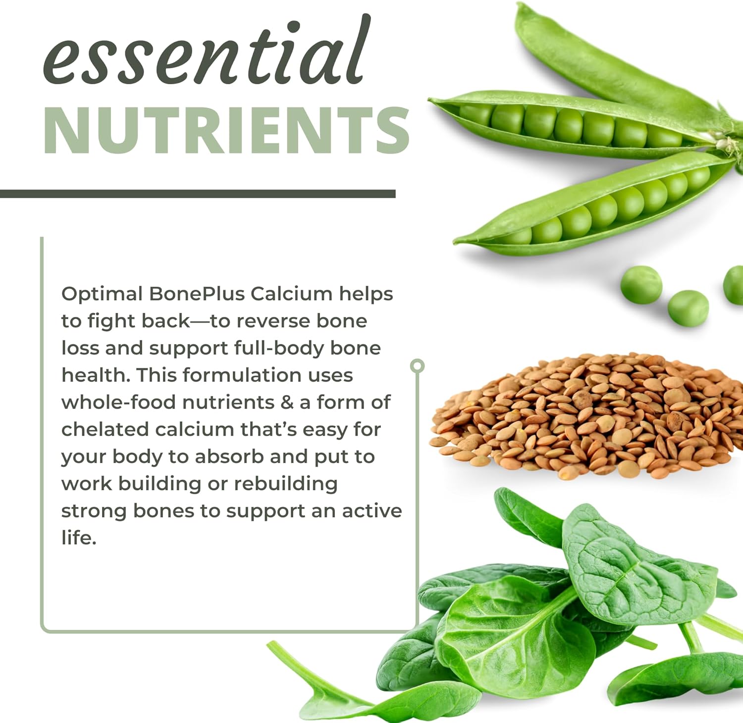 BonePlus Calcium: Chelated Calcium with Ipriflavone, Probiotics, and Plant Enzymes - 90 Capsules