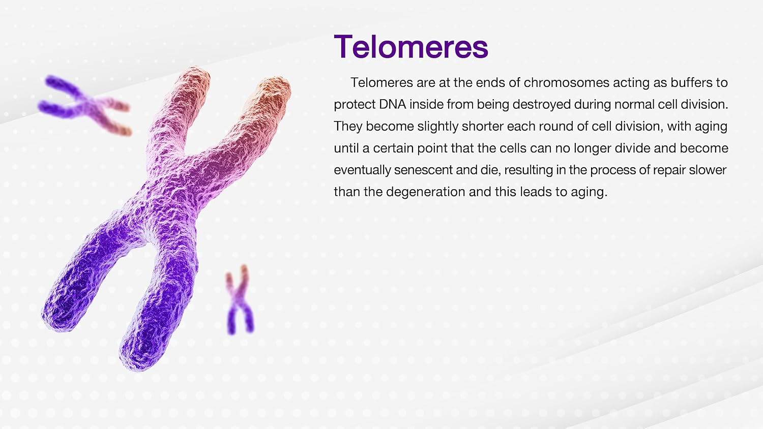 BOOM D-NAX Daily Multi-Vitamin Effervescent Tablets with VIT A, C, B1, B2, B3, B5, B6, B12, Biotin, and Folic Acid for Energy Boost, 80g