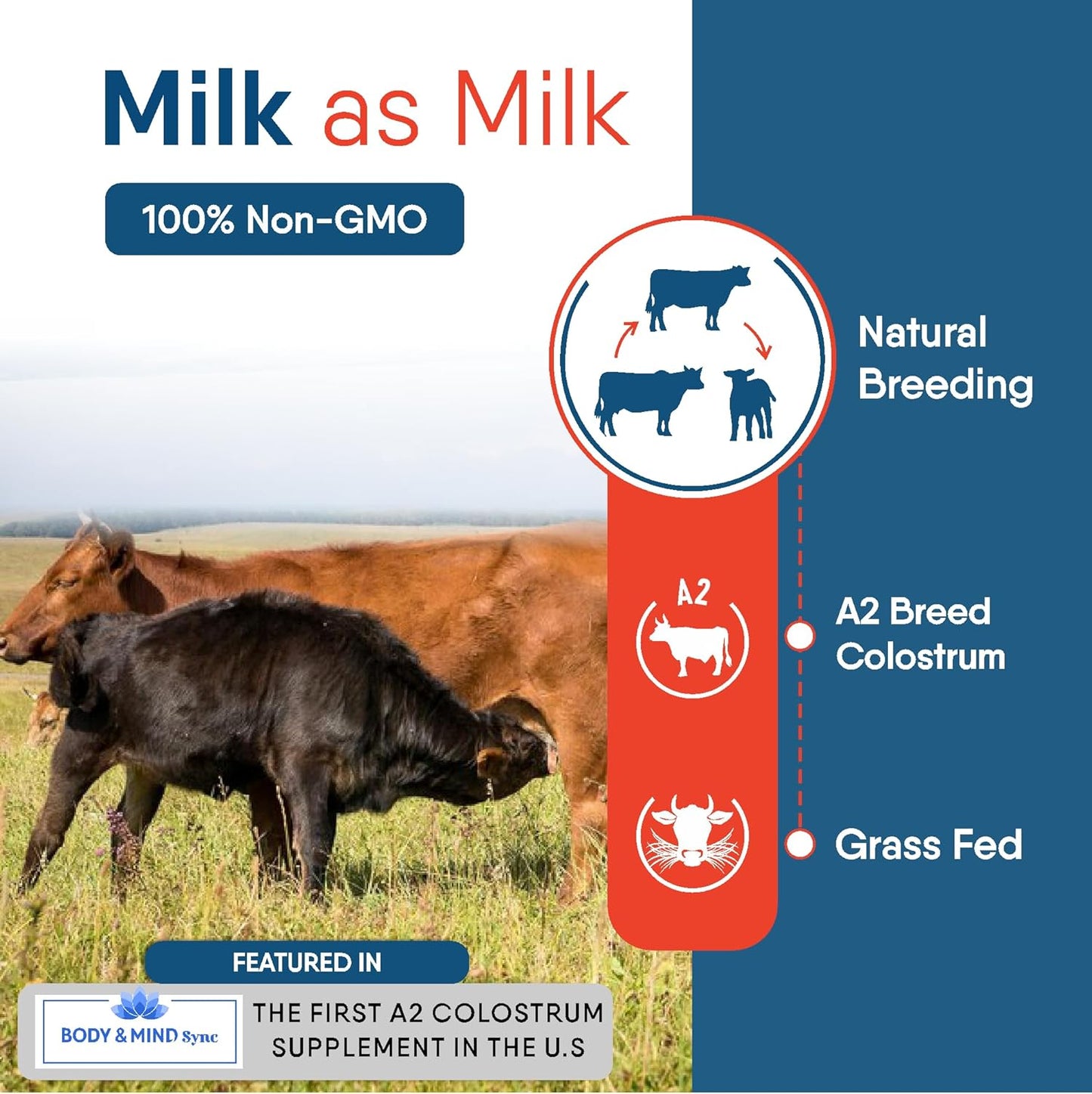 Bovine Colostrum Powder for Gut Health, Immune Support, and Muscle Recovery - Non-GMO, Grass Fed, Unflavoured - 50 Servings