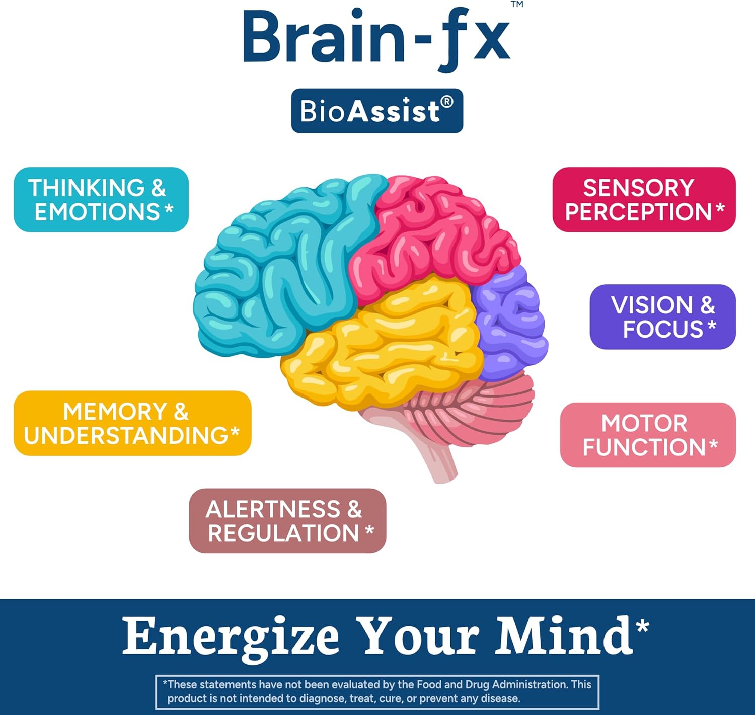 Brain-fx™ Nootropic Supplement for Energy, Focus, Mood, and Memory Support with Methyl B Complex, Coffee Fruit, Lions Mane, and Ginseng - 60 Vegan Capsules