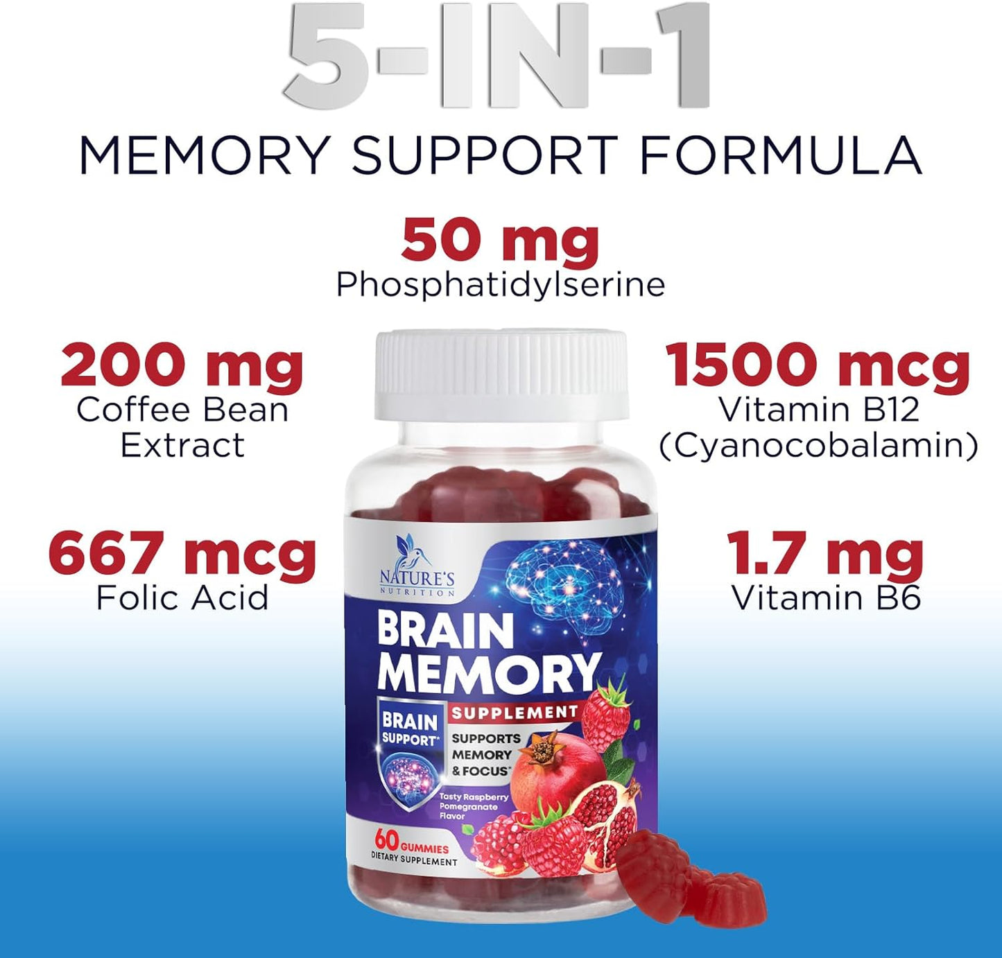Brain Memory Supplement Gummy with B6, B12, Phosphatidylserine, Coffee Extract - Cognitive Vitamins for Men & Women - 60 Gummies for Concentration & Focus