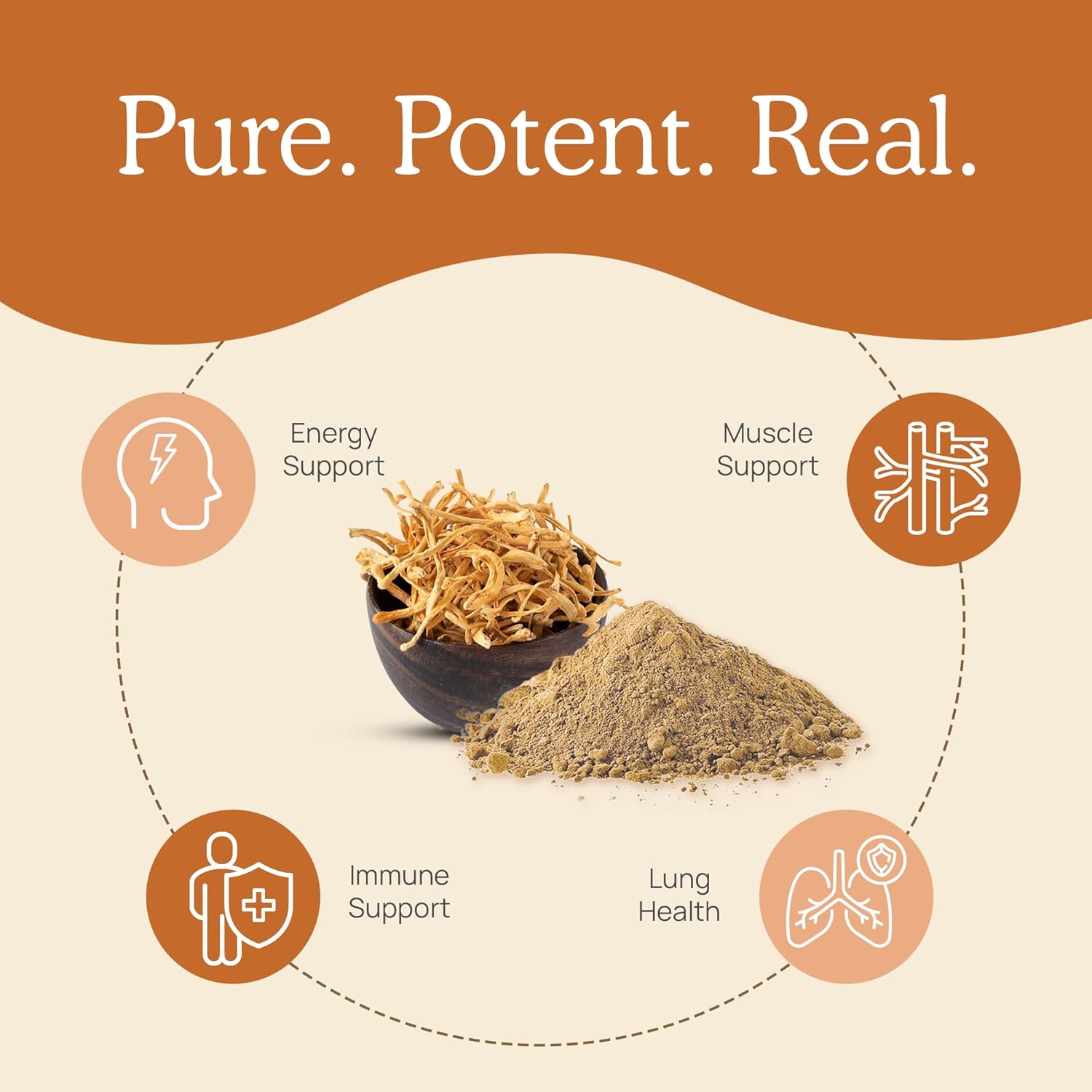 Brain, Vitality, and Immune Support Bundle with Lion’s Mane, Reishi, and Cordyceps - Cognition, Longevity, and Peak Performance Capsules