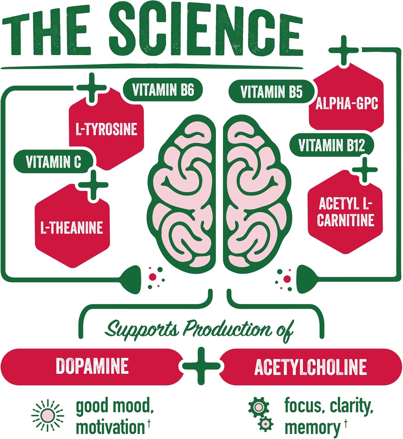 BrainJuice Brain and Immune Support Shot - Gluten-Free Energy and Focus Supplement with Vitamin D, C, Alpha GPC, Ginger Root, Pomegranate Acai - 12 Pack of 2.5 fl oz Shots