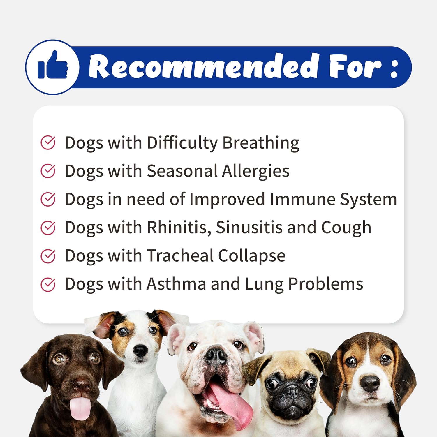 Branvine Respiratory Support Supplement for Dogs - Vegan Bacon Flavor with Quercefit® and Probiotics - 135g